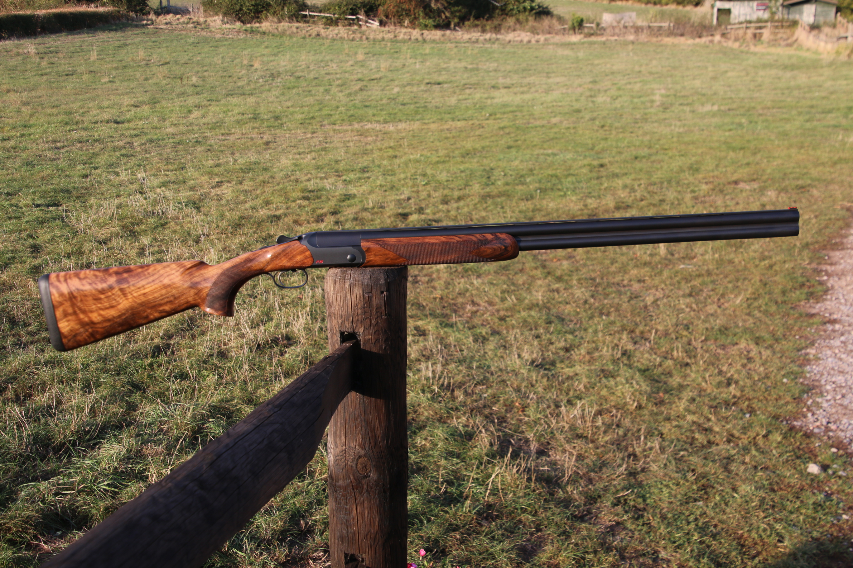 Blaser F16