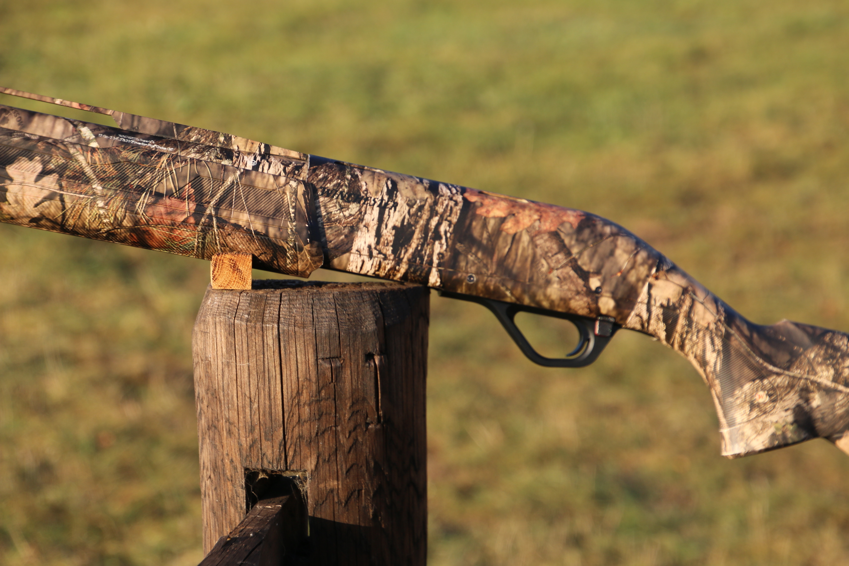 Winchester SX4
