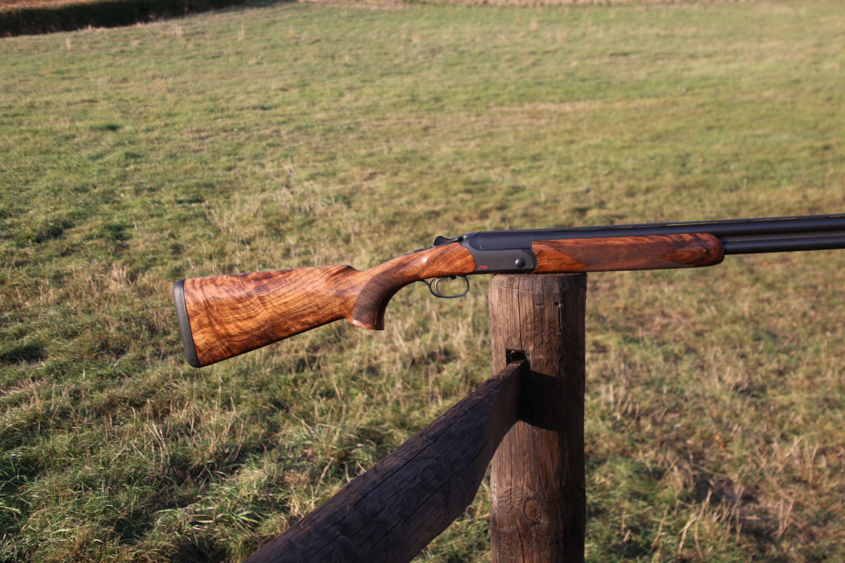 Blaser F16
