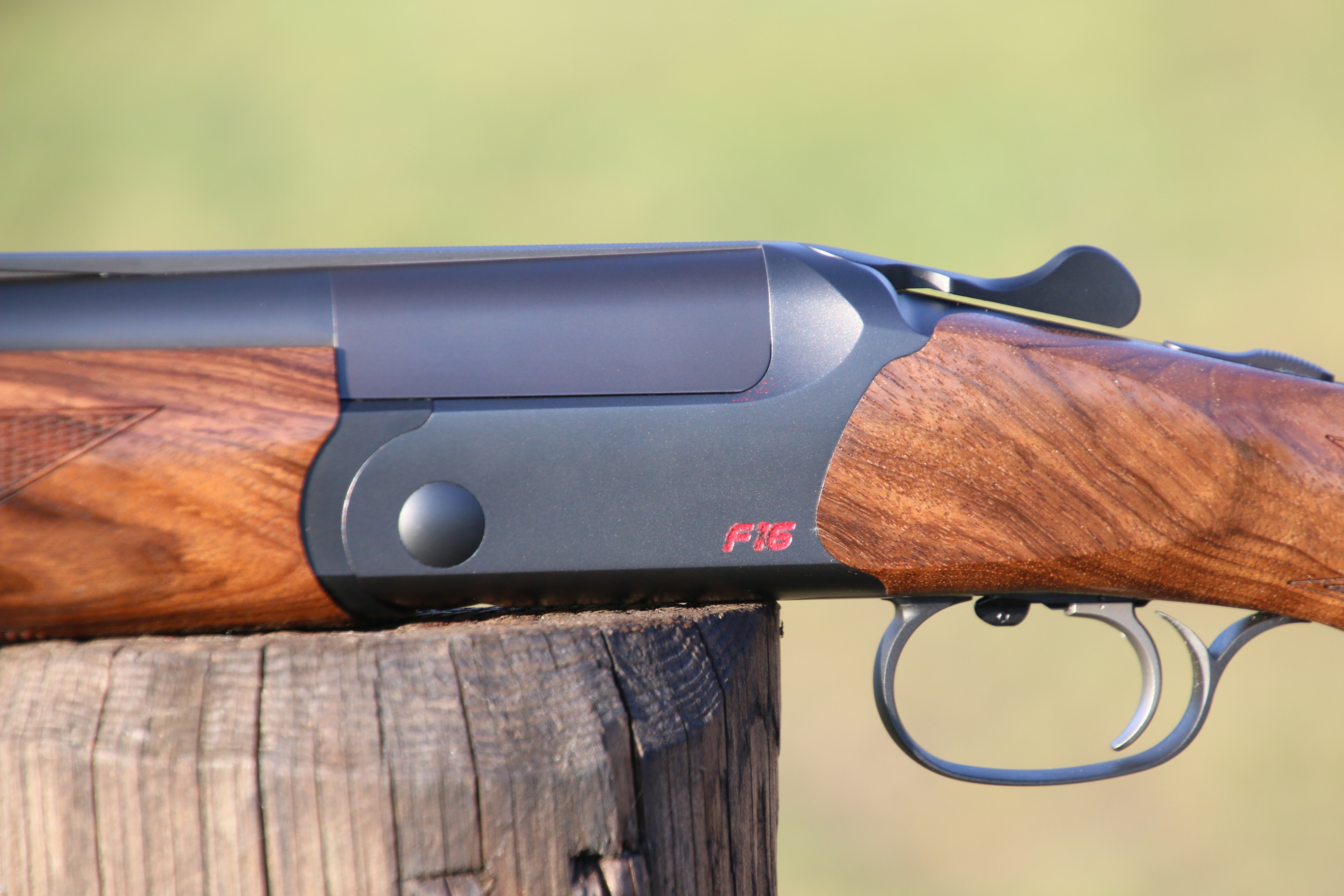 Blaser F16