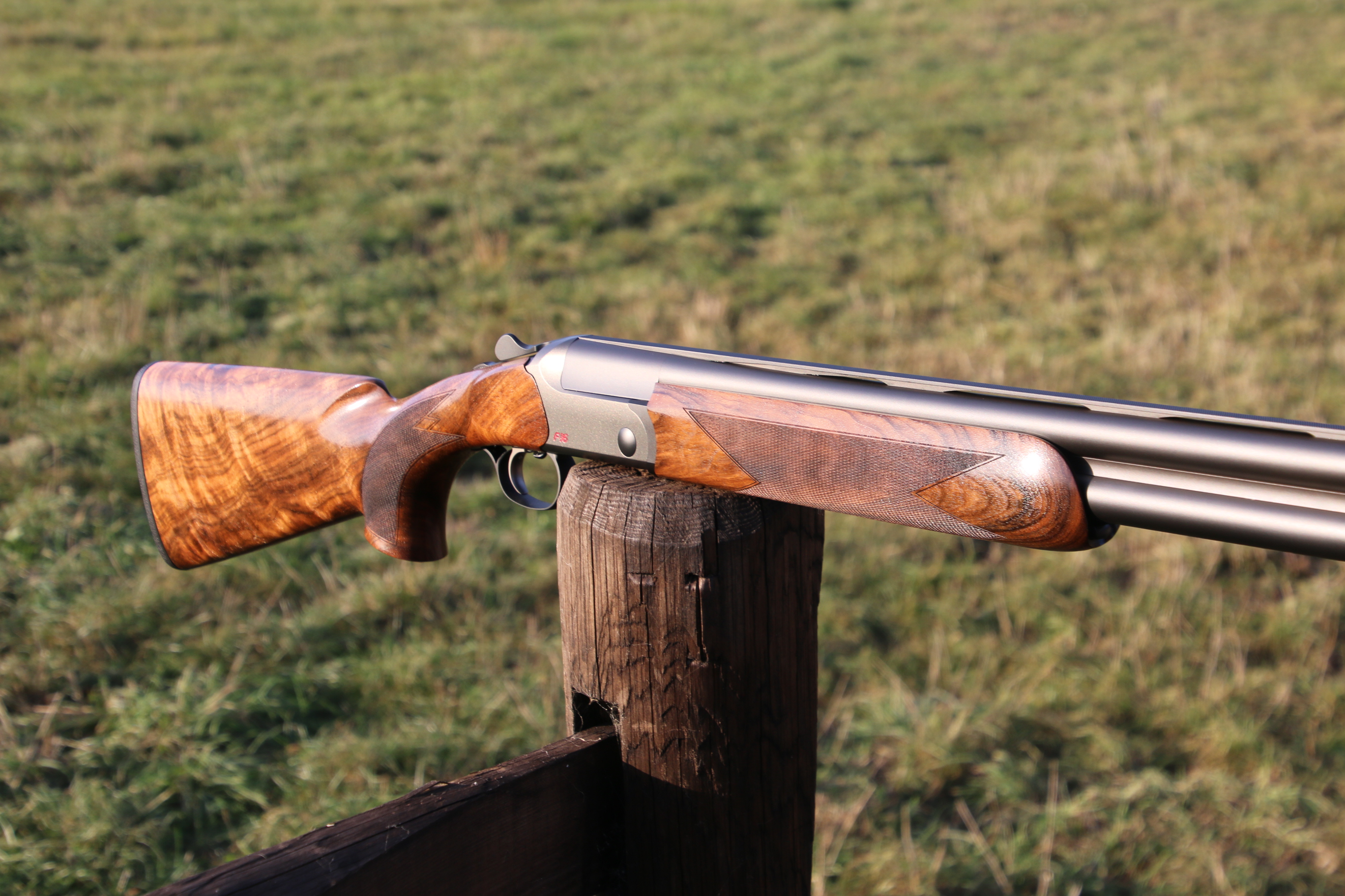 Blaser F16