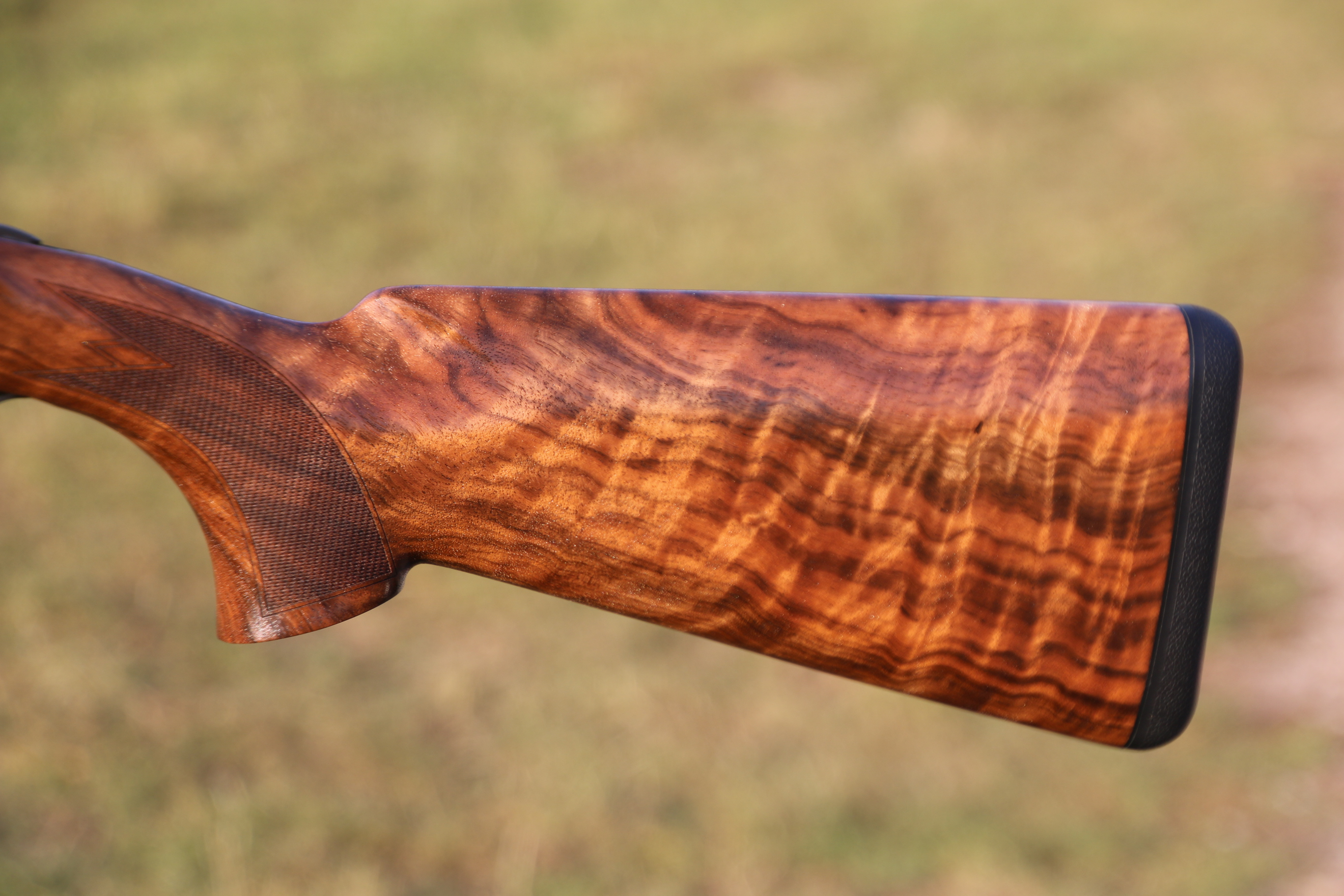 Blaser F16