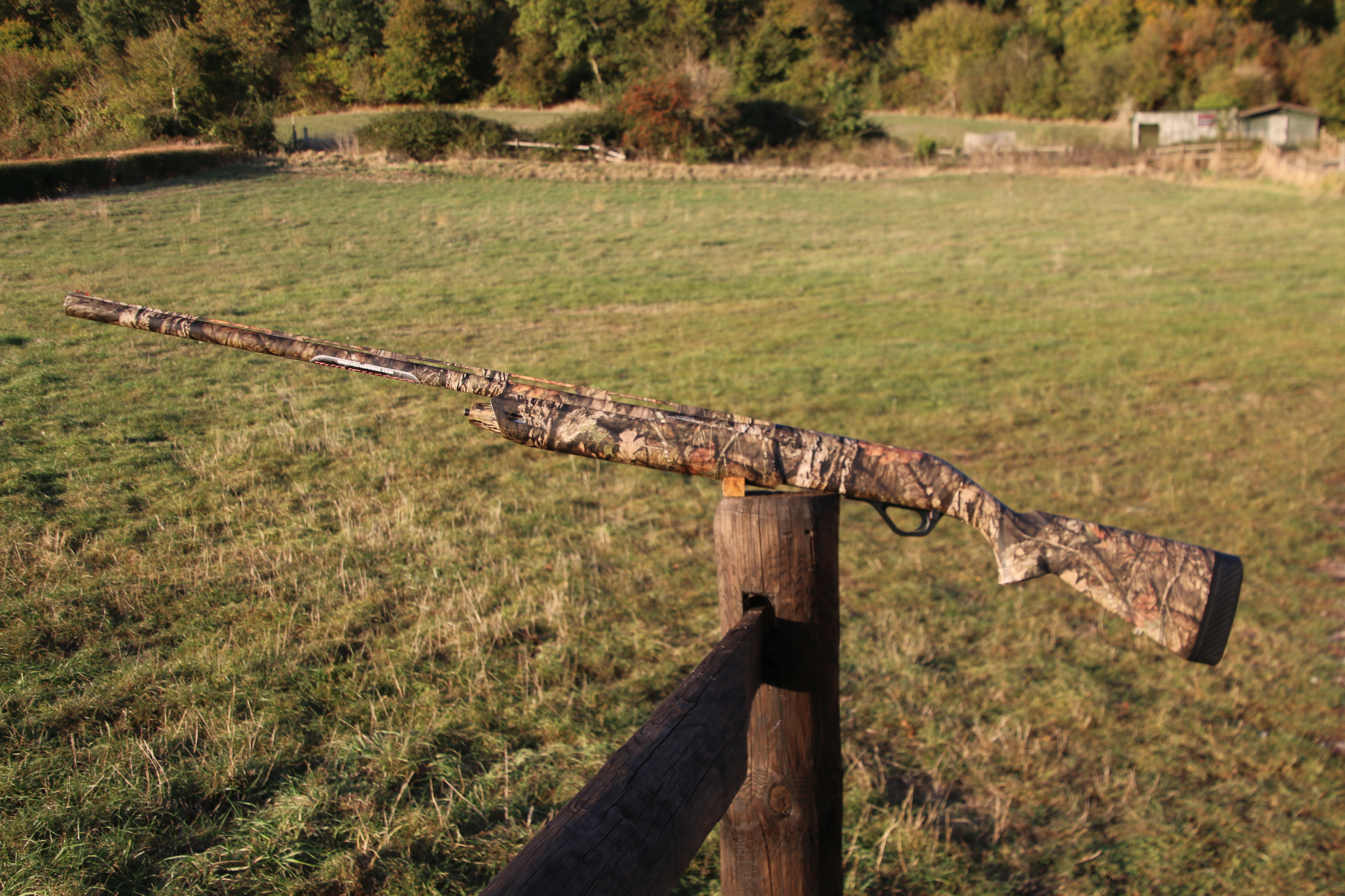 Winchester SX4