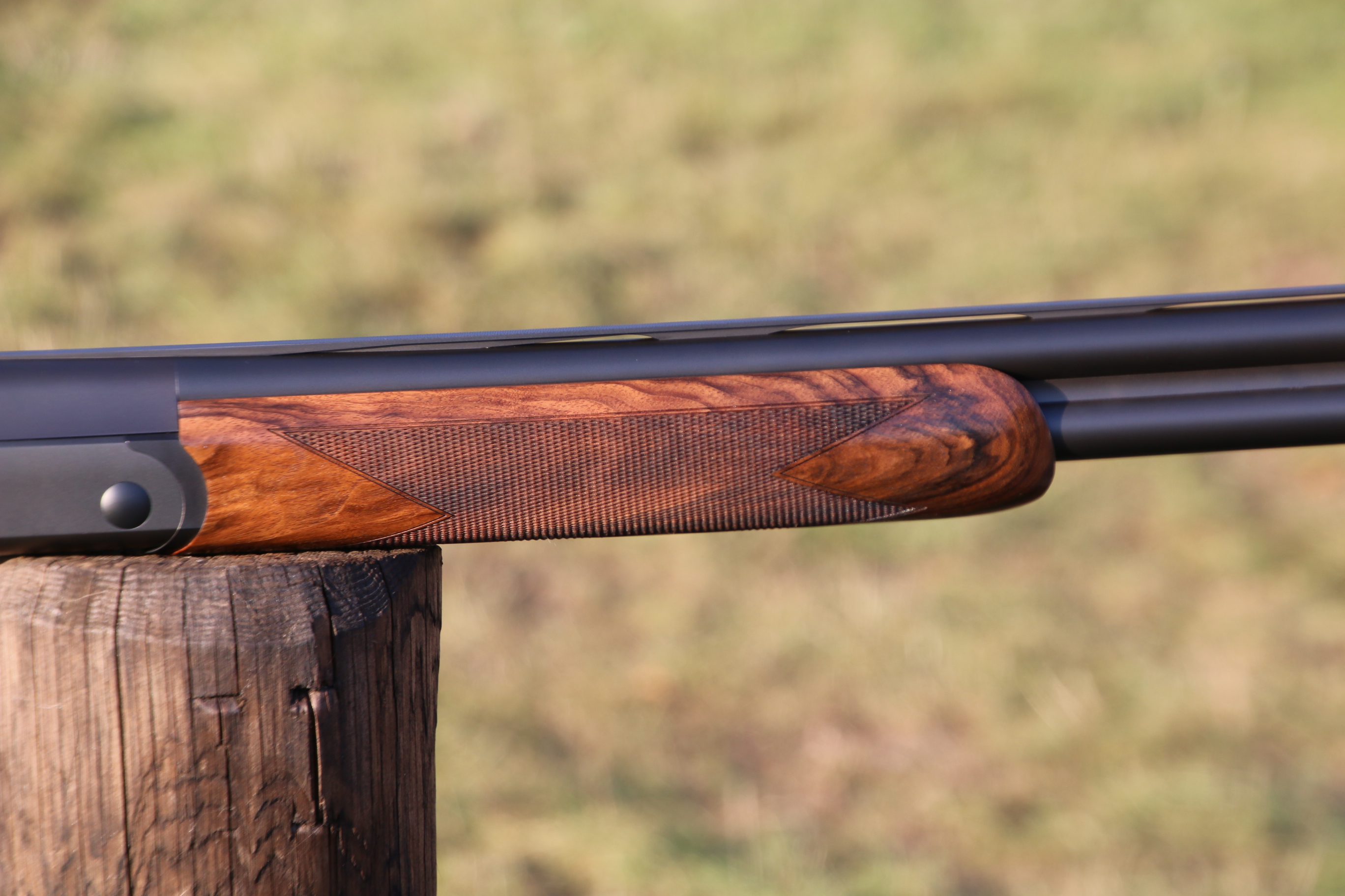 Blaser F16