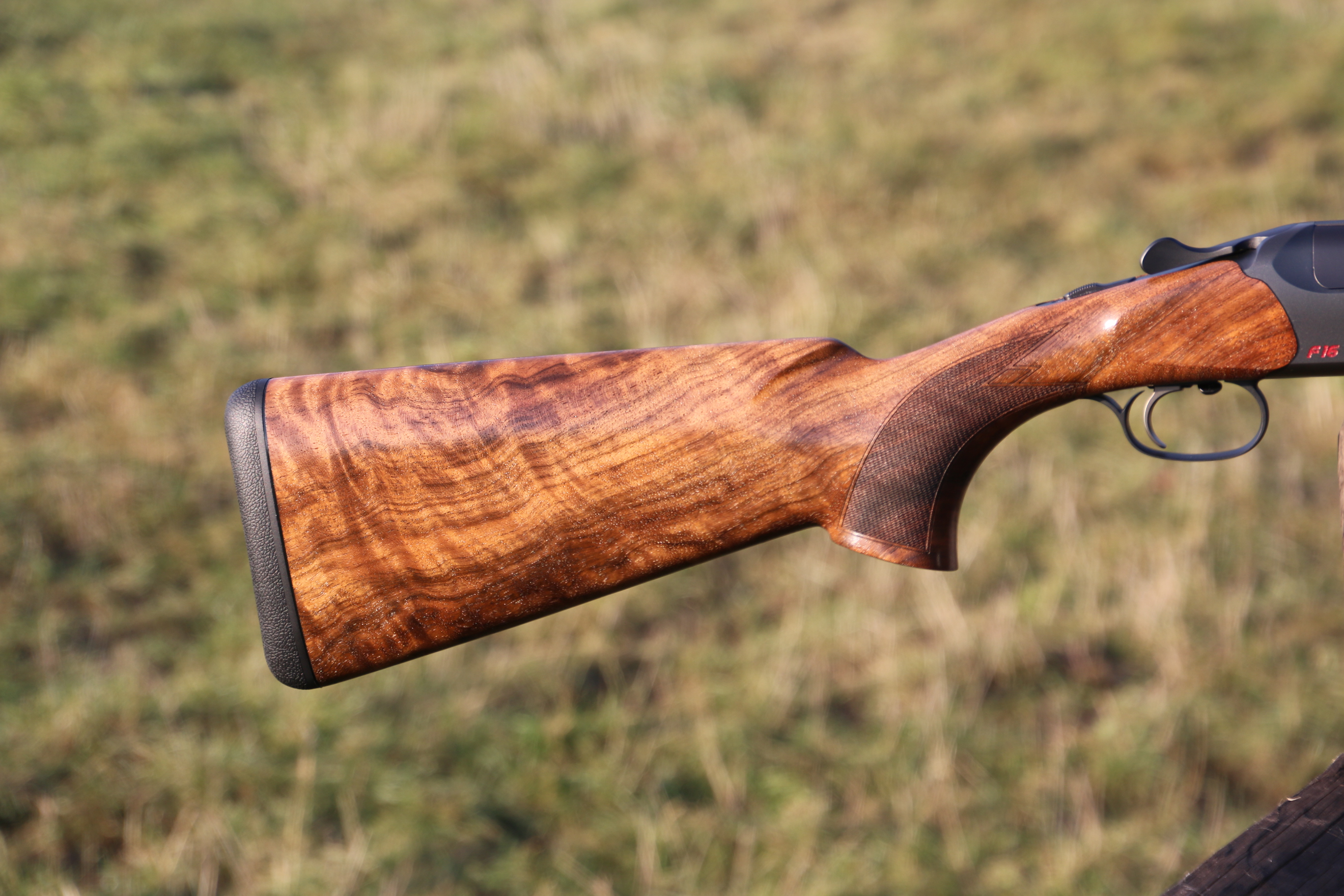 Blaser F16