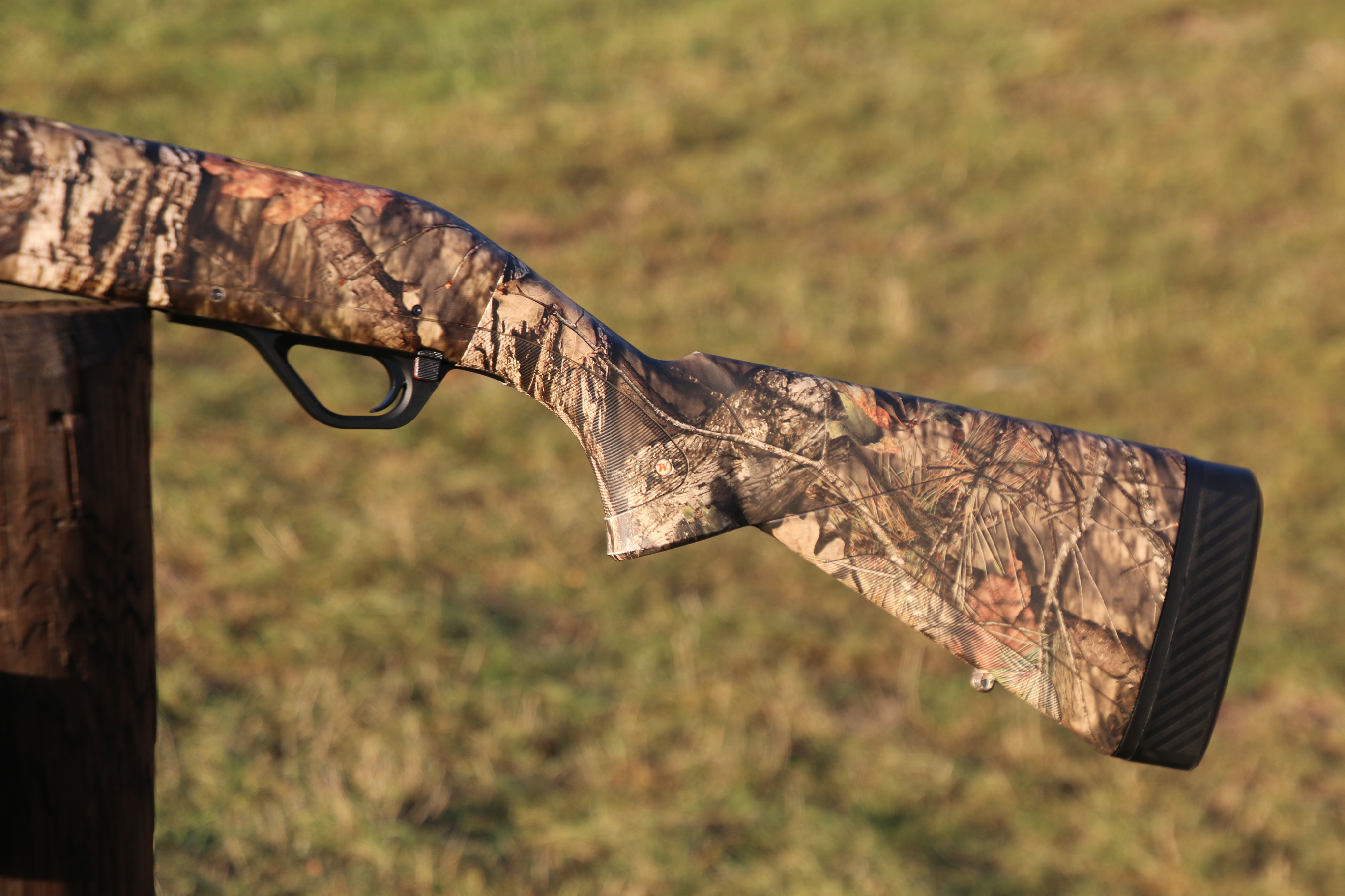Winchester SX4