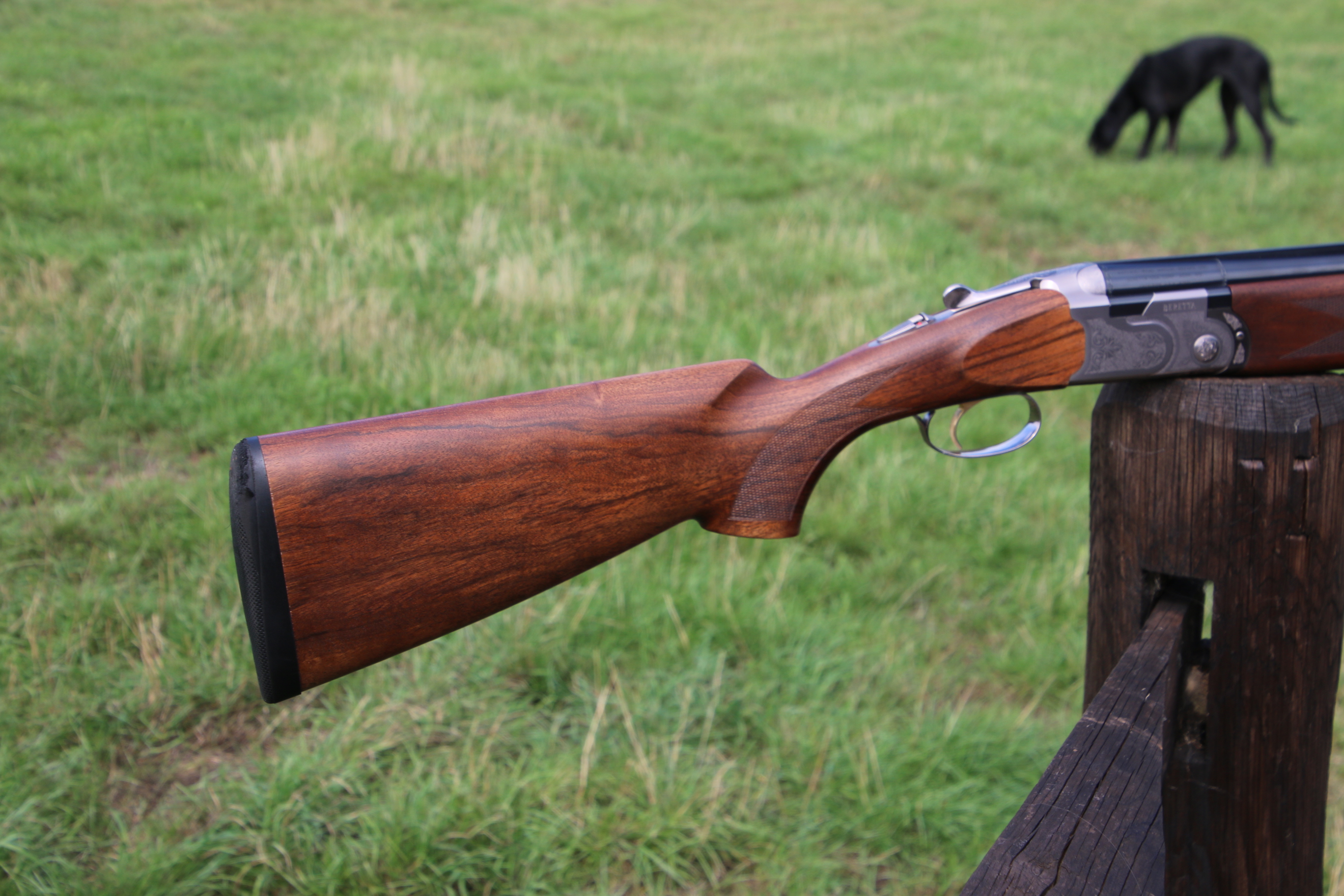 Beretta 686