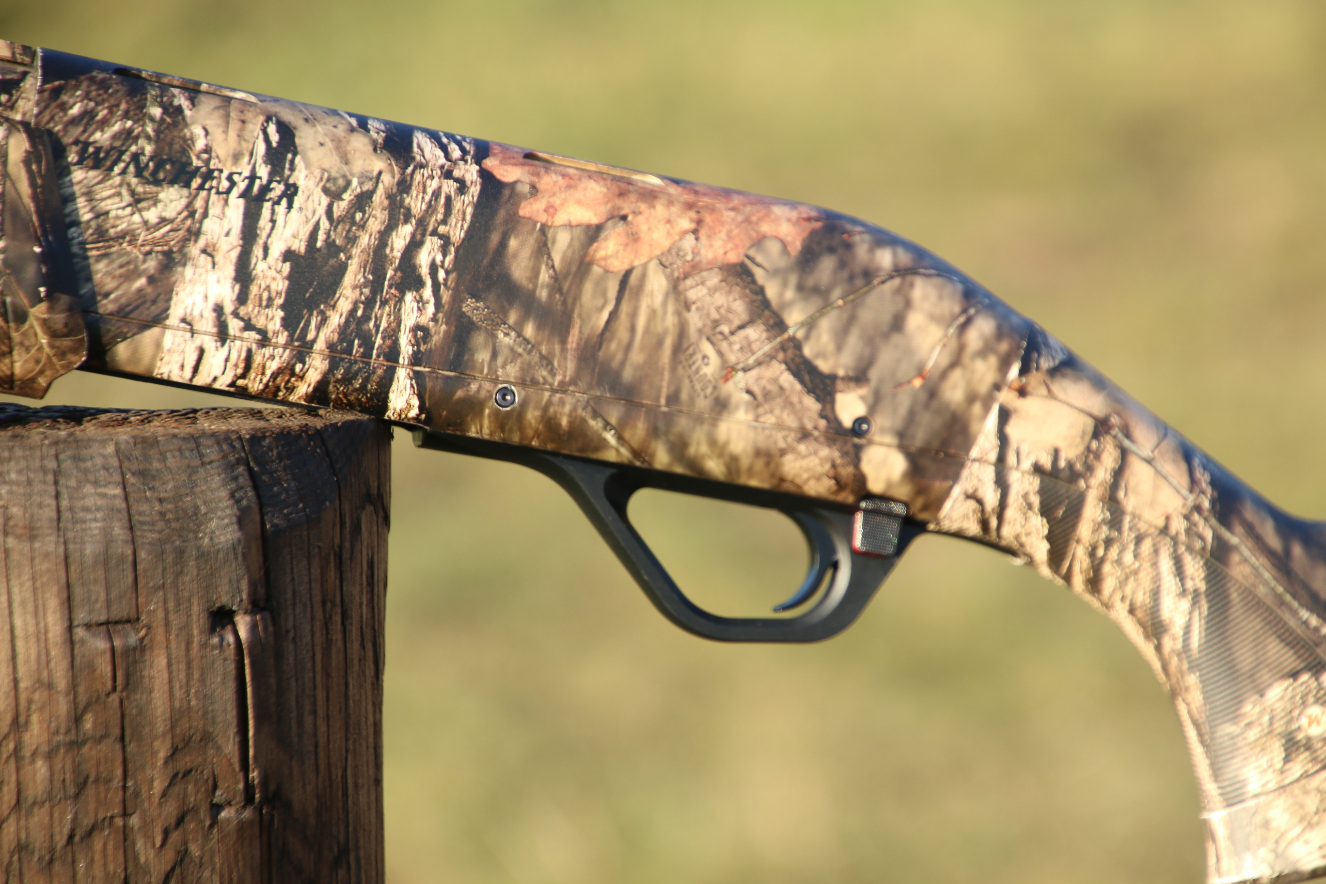 Winchester SX4