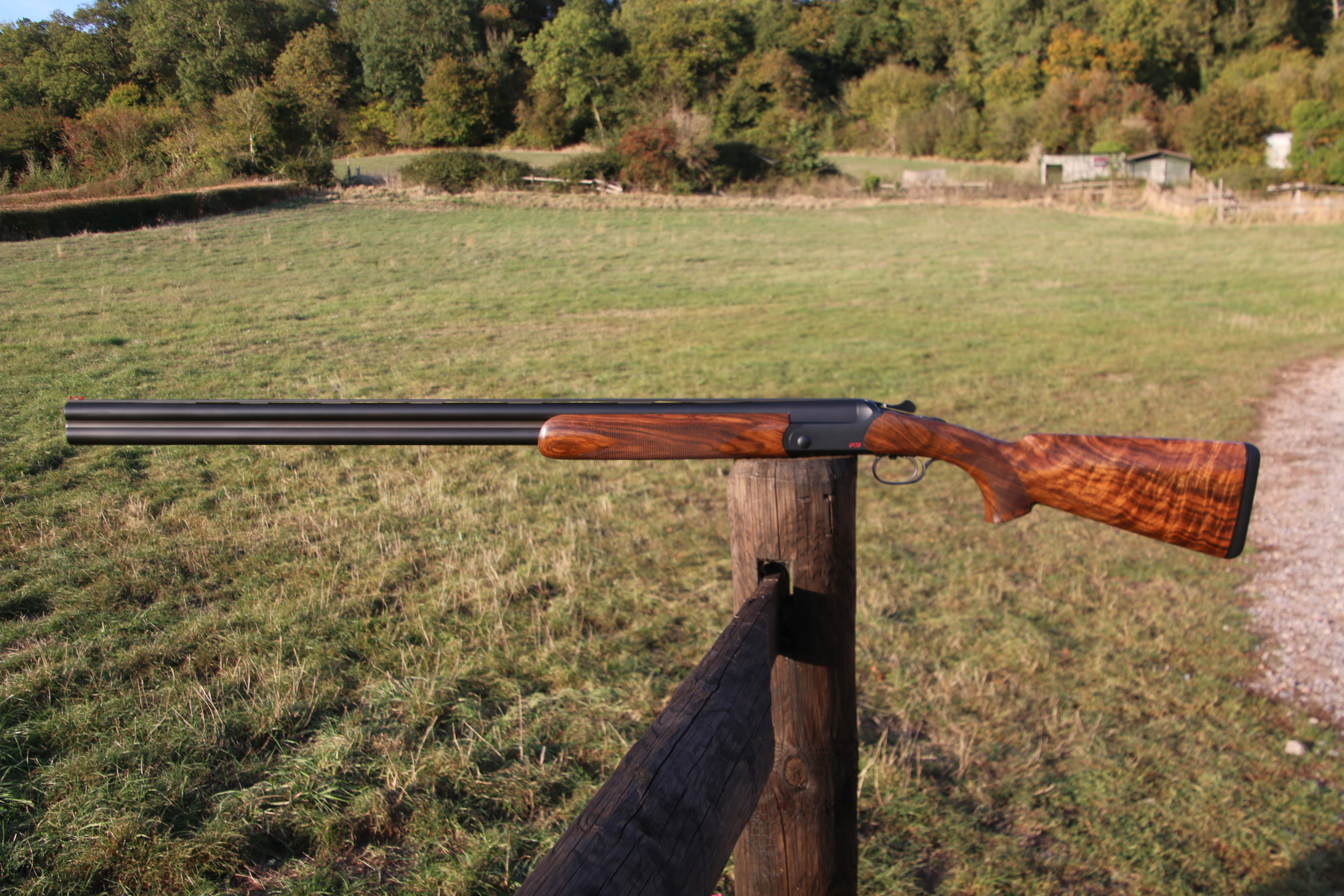 Blaser F16
