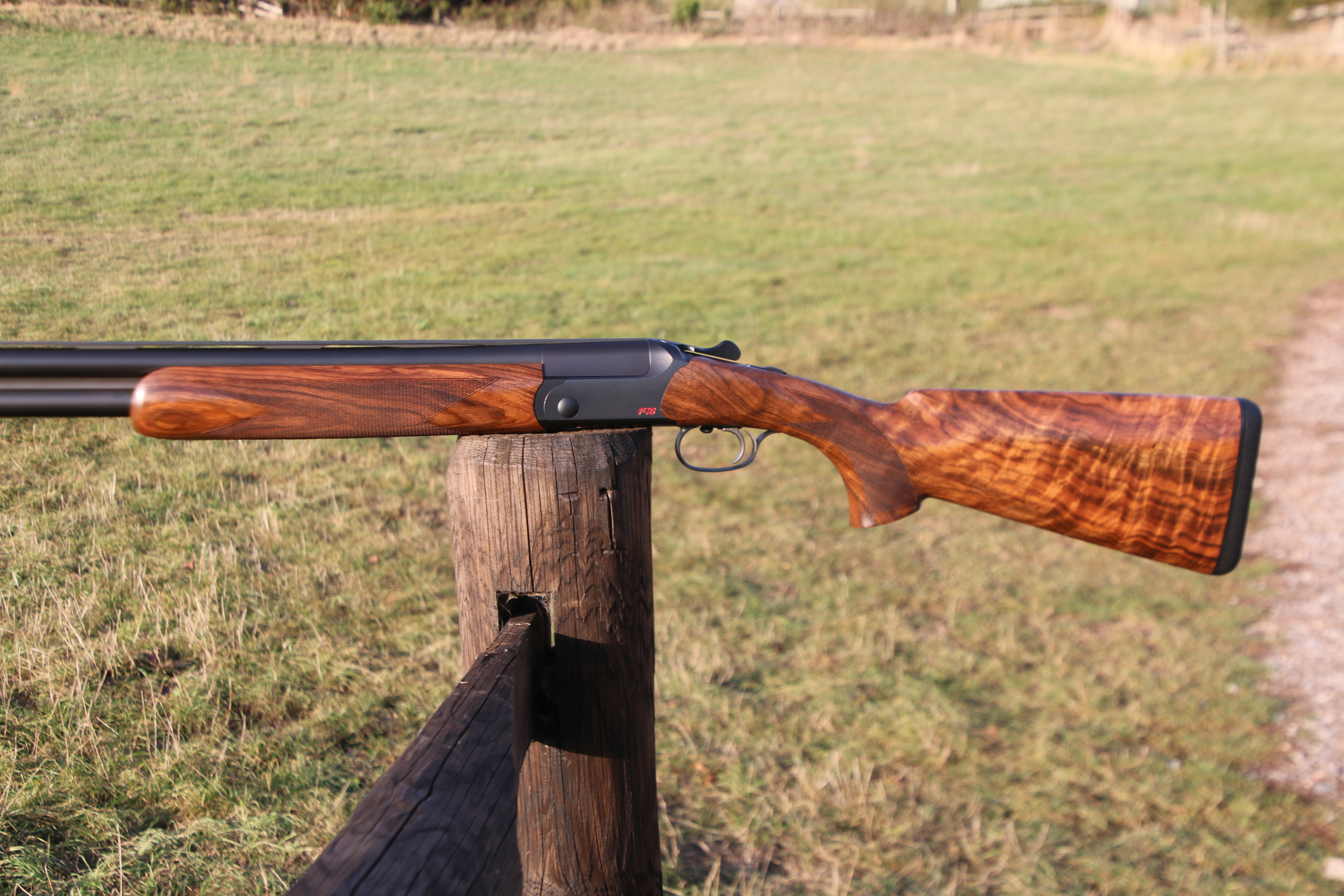 Blaser F16