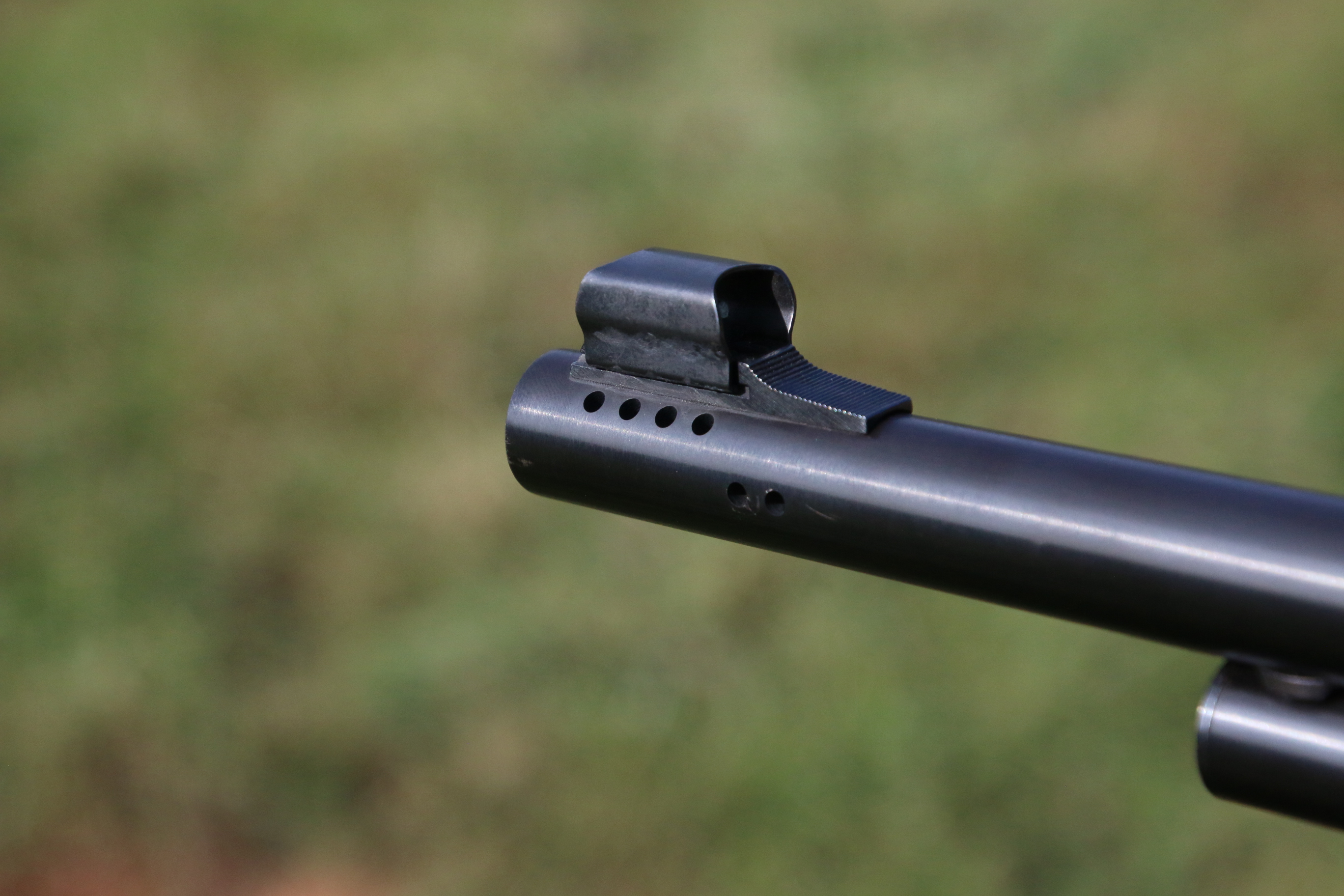 Marlin 1895