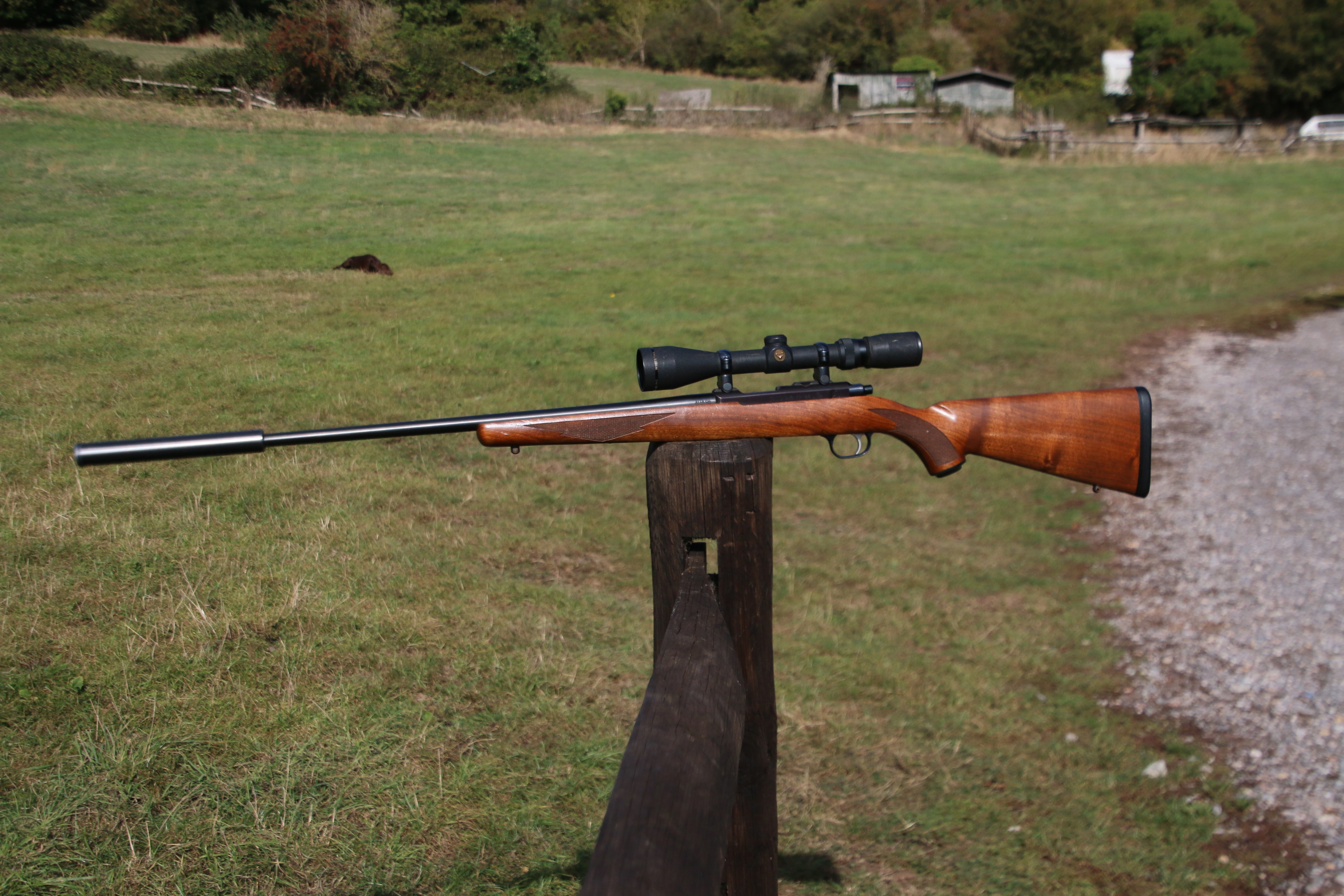 Ruger 77-22