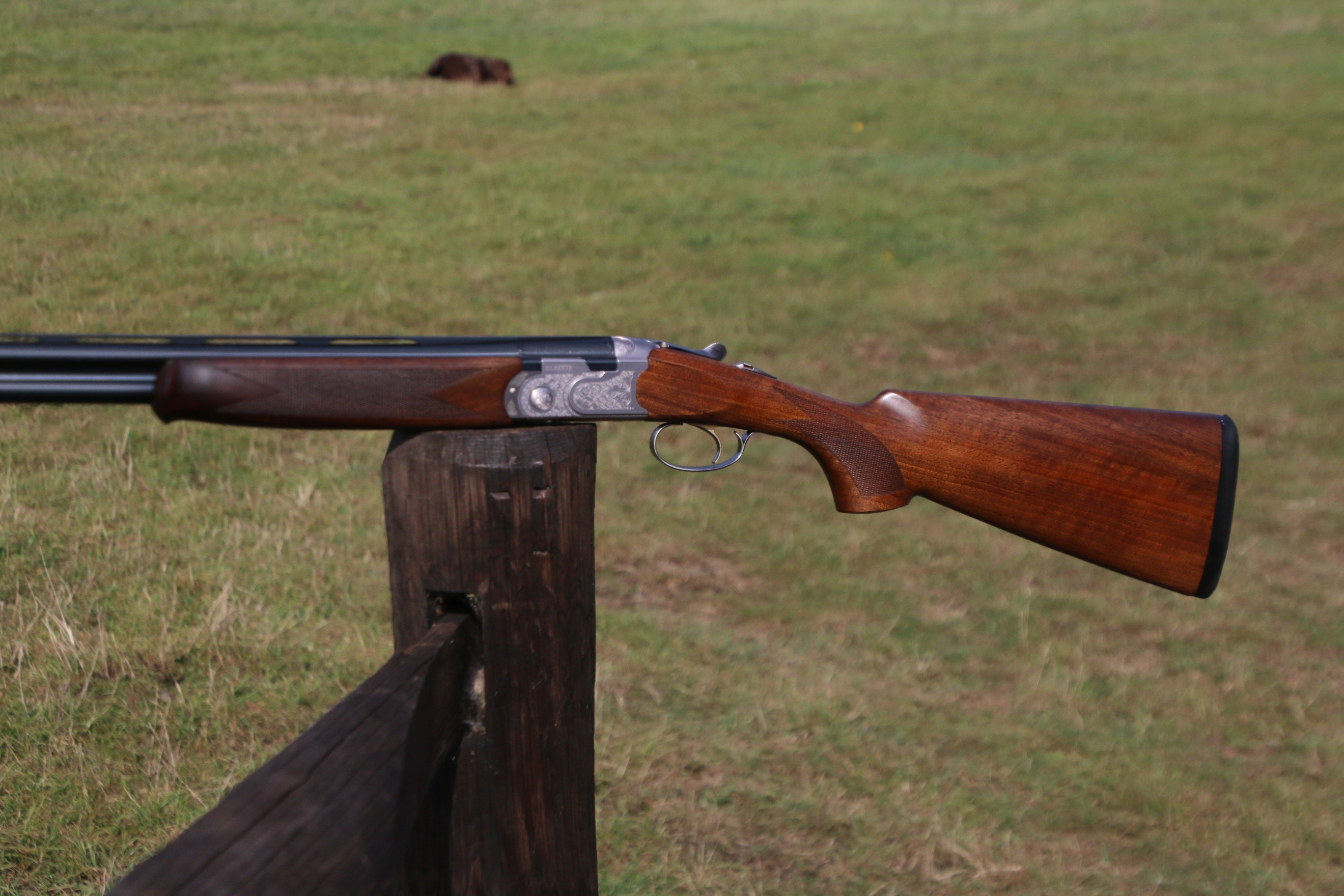 Beretta 686
