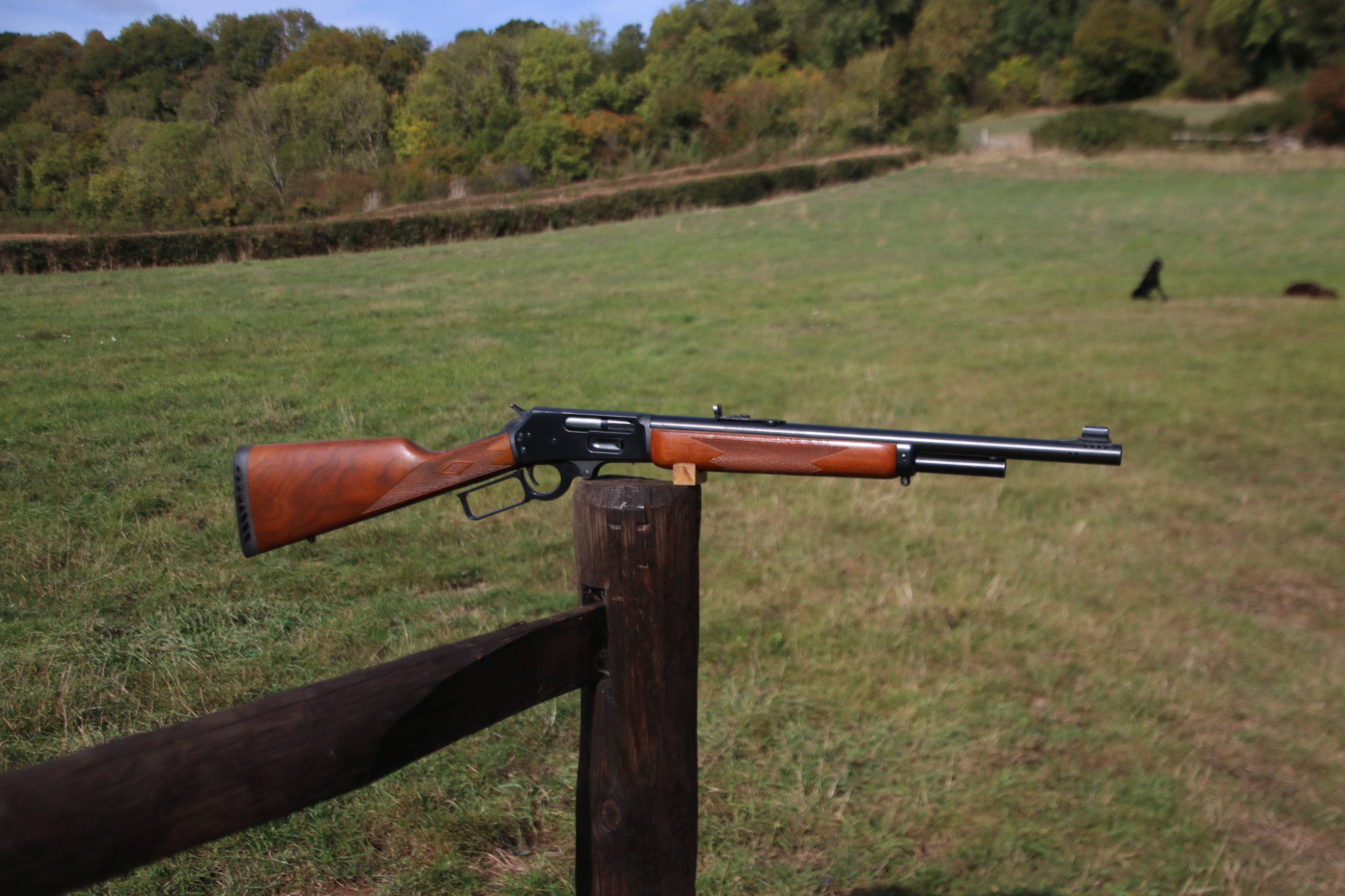 Marlin 1895