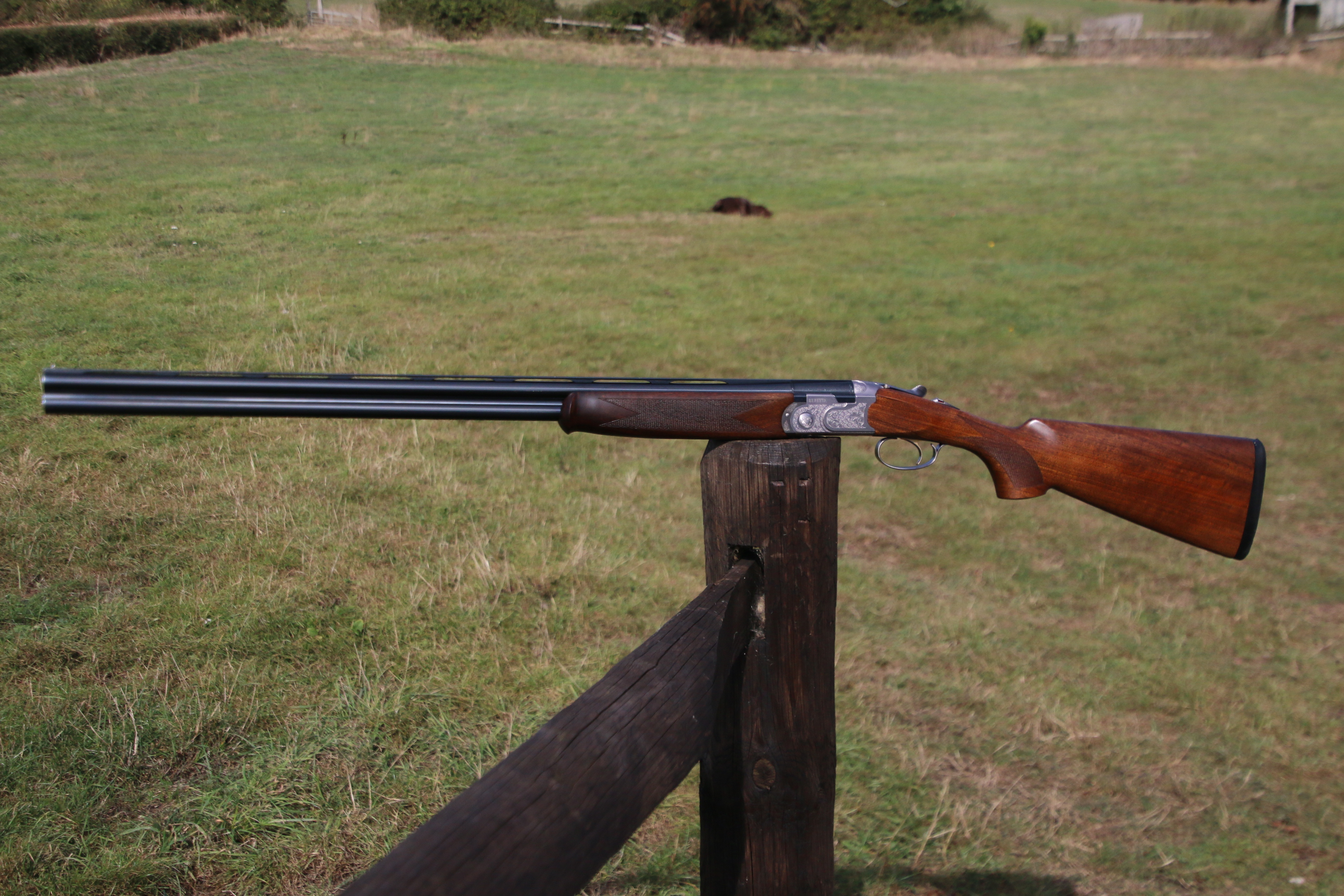 Beretta 686