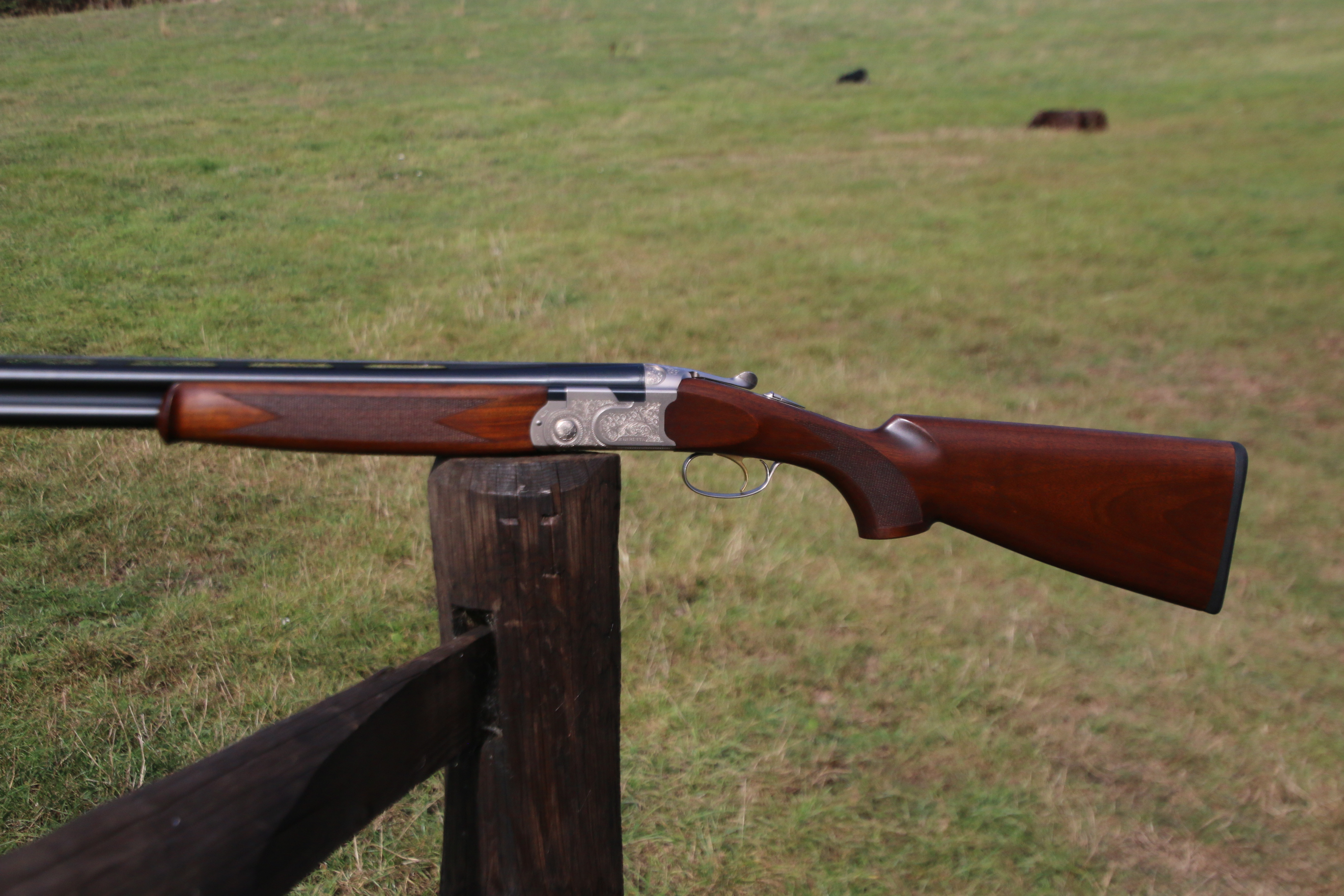 Beretta 686