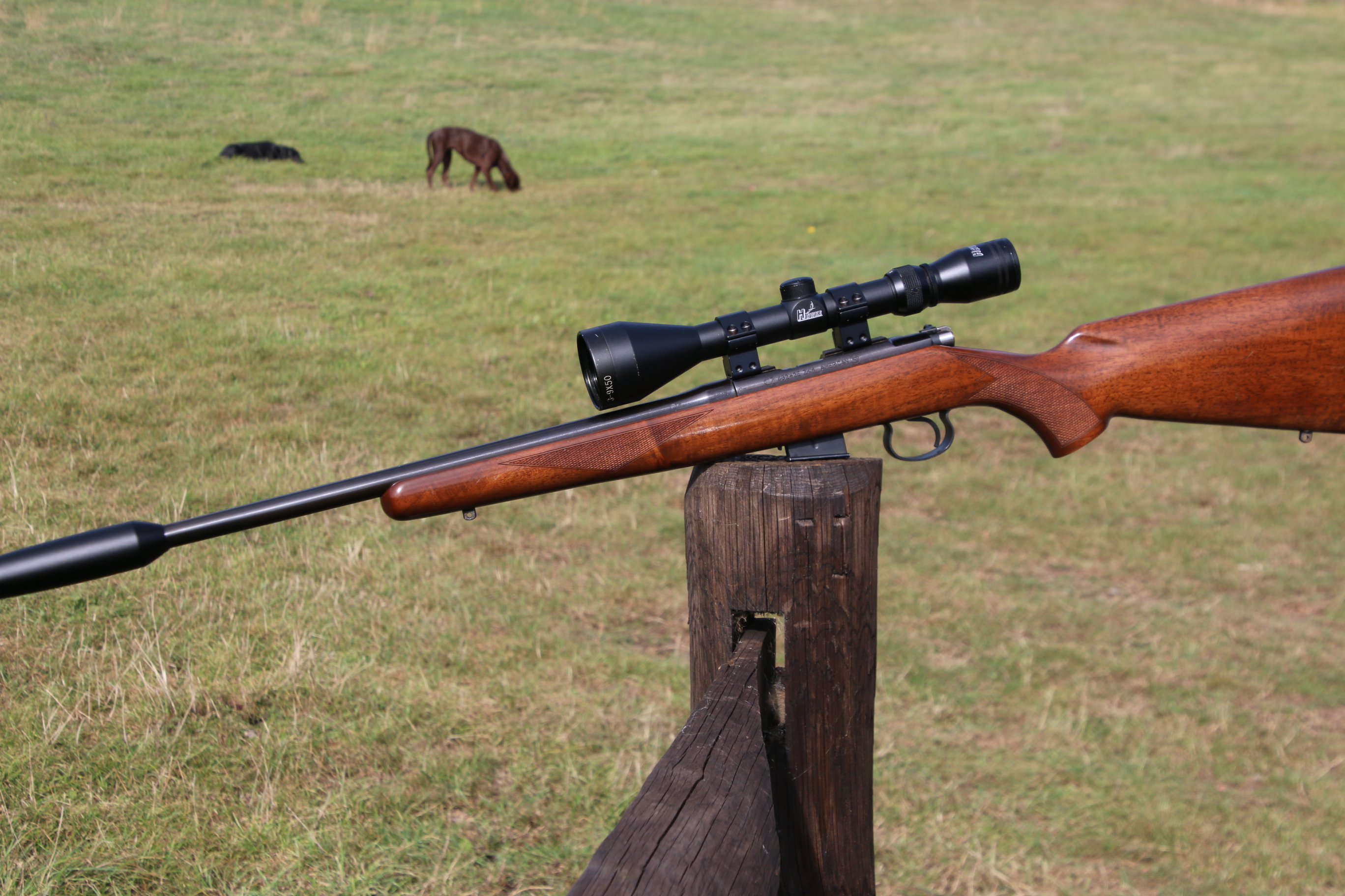 CZ 425
