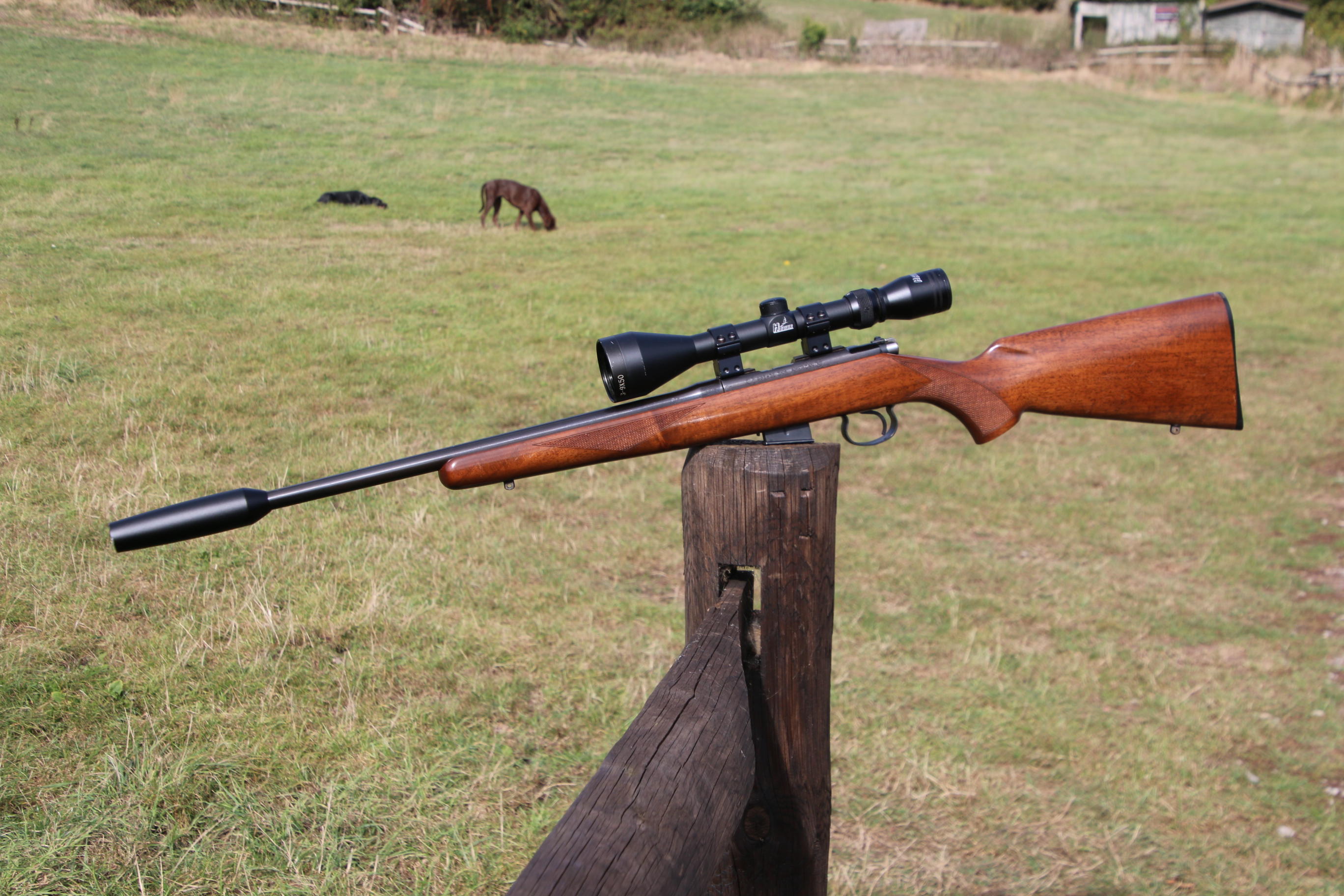 CZ 425