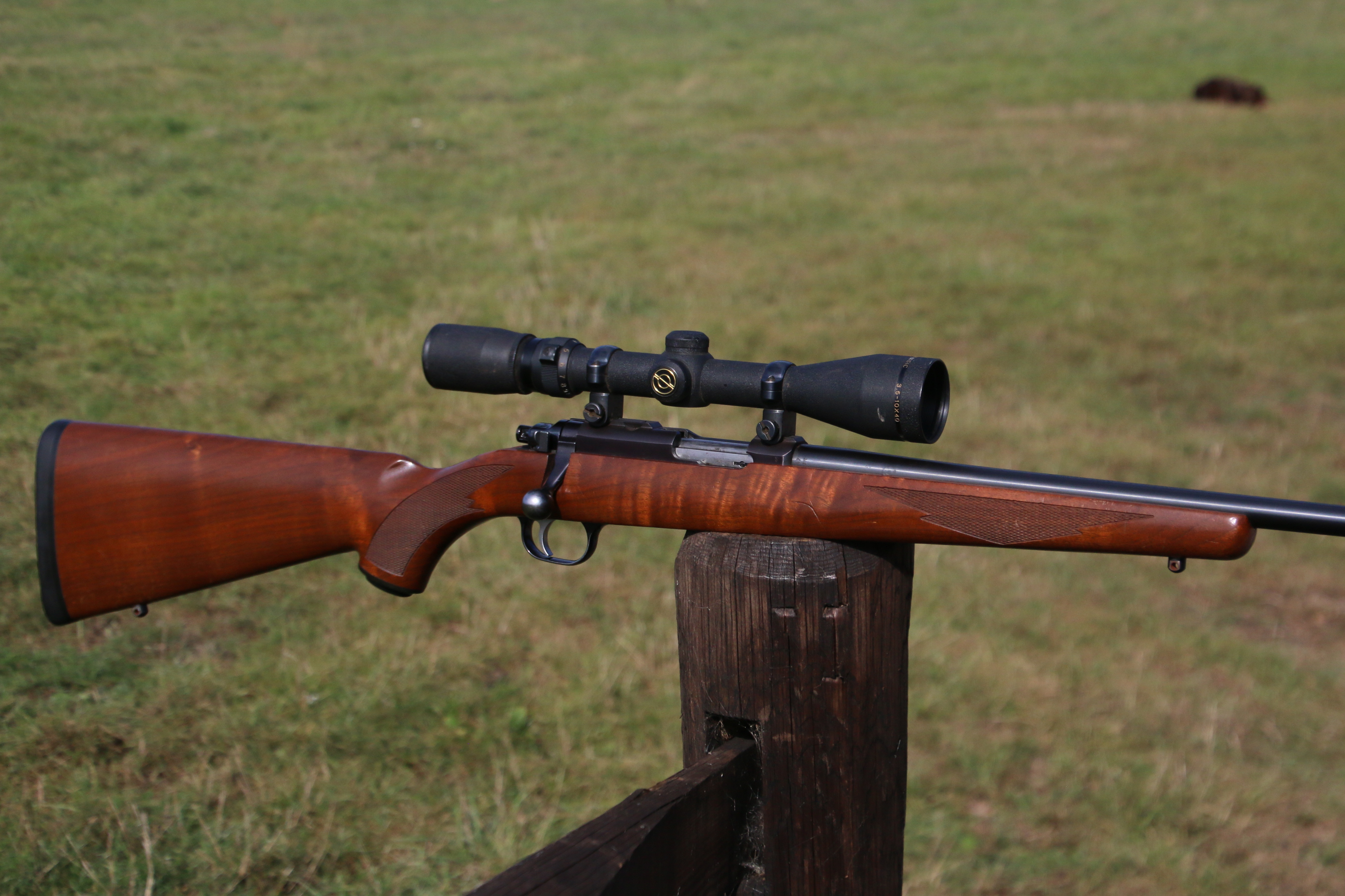 Ruger 77-22
