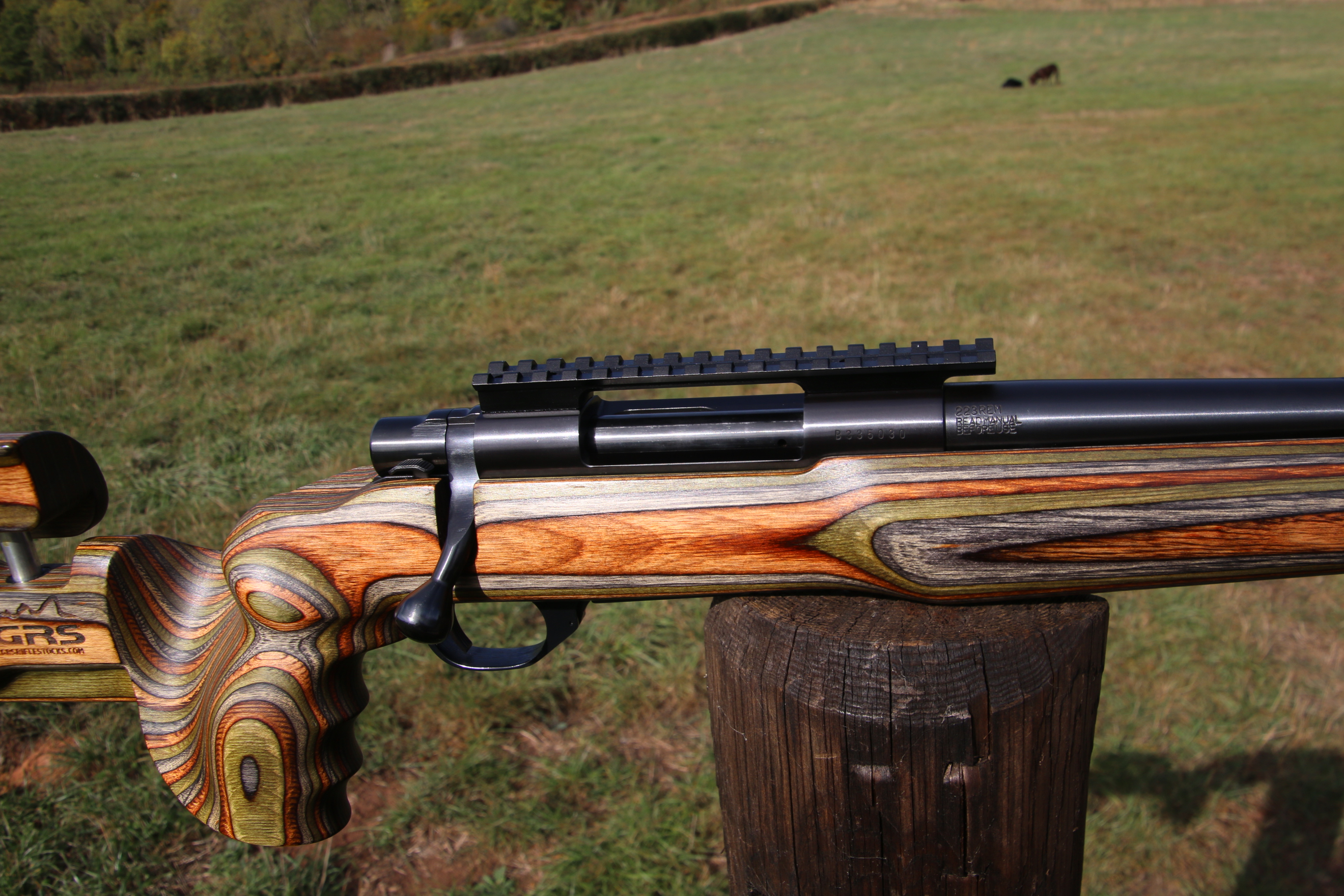 Howa 1500