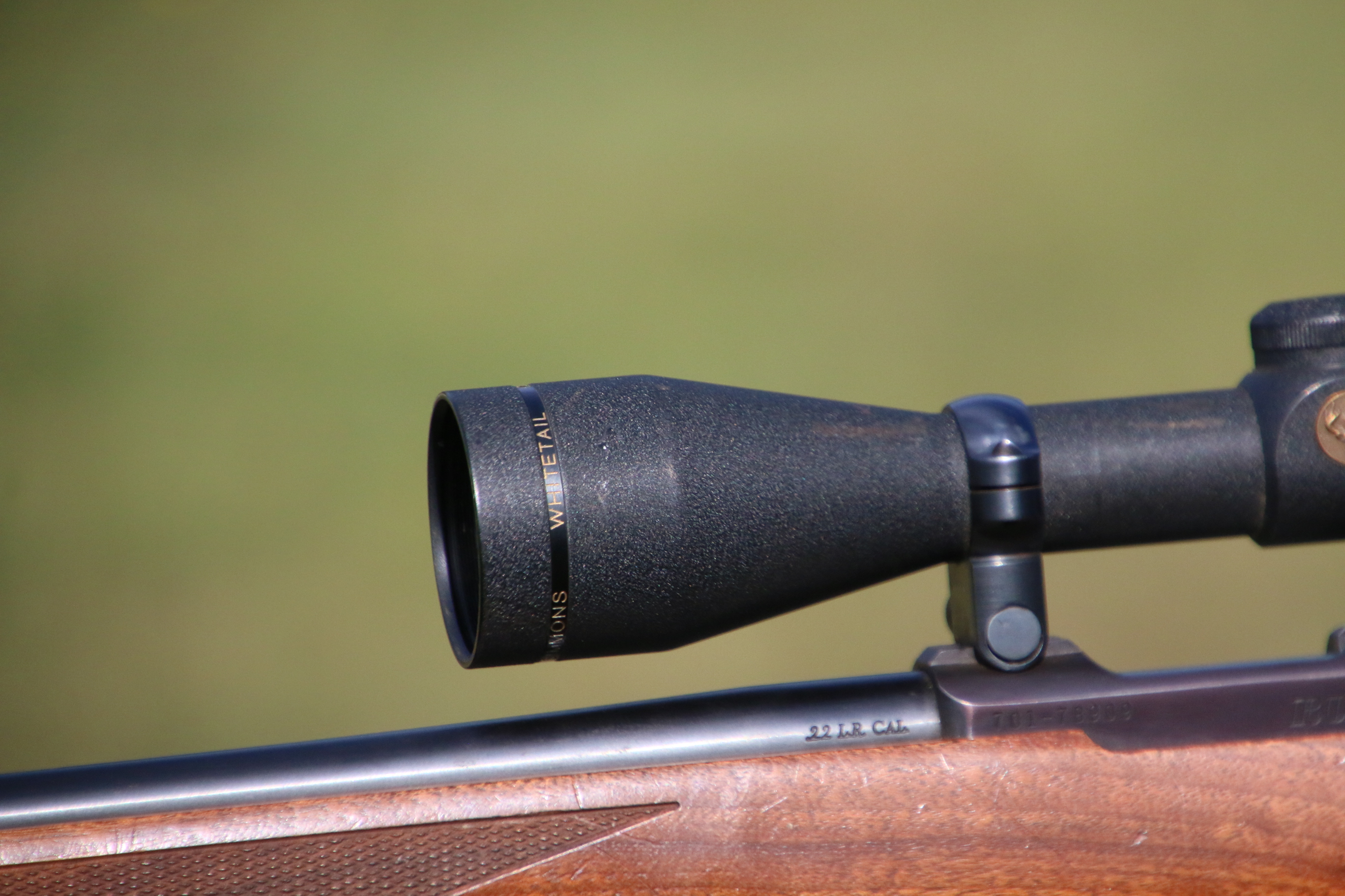 Ruger 77-22