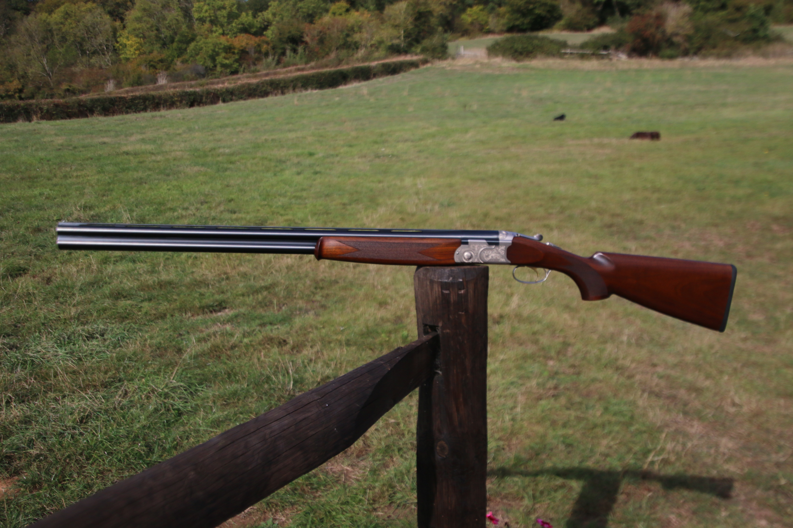 Beretta 686