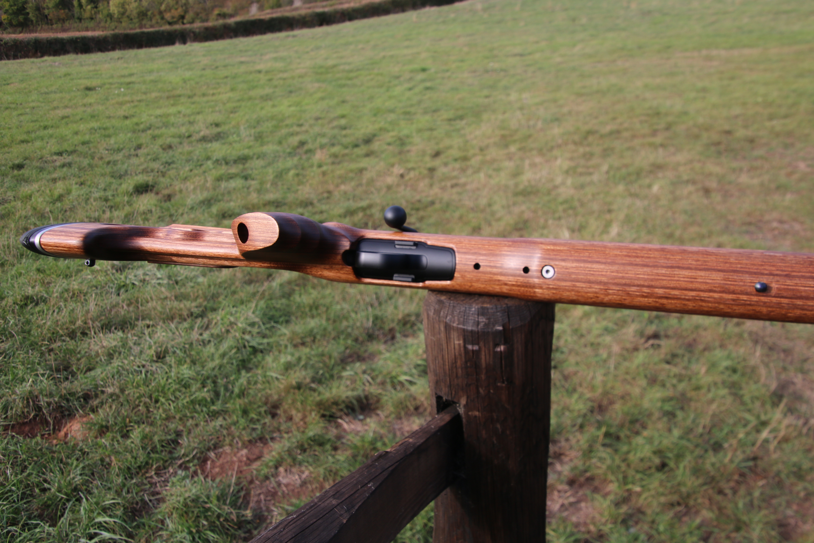 Blaser R8
