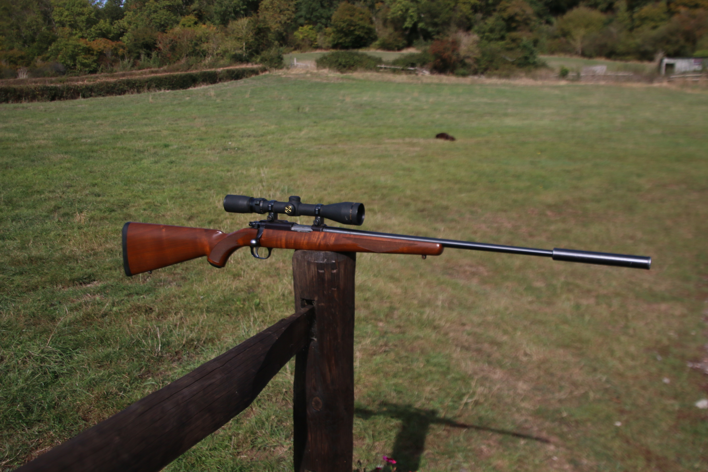 Ruger 77-22