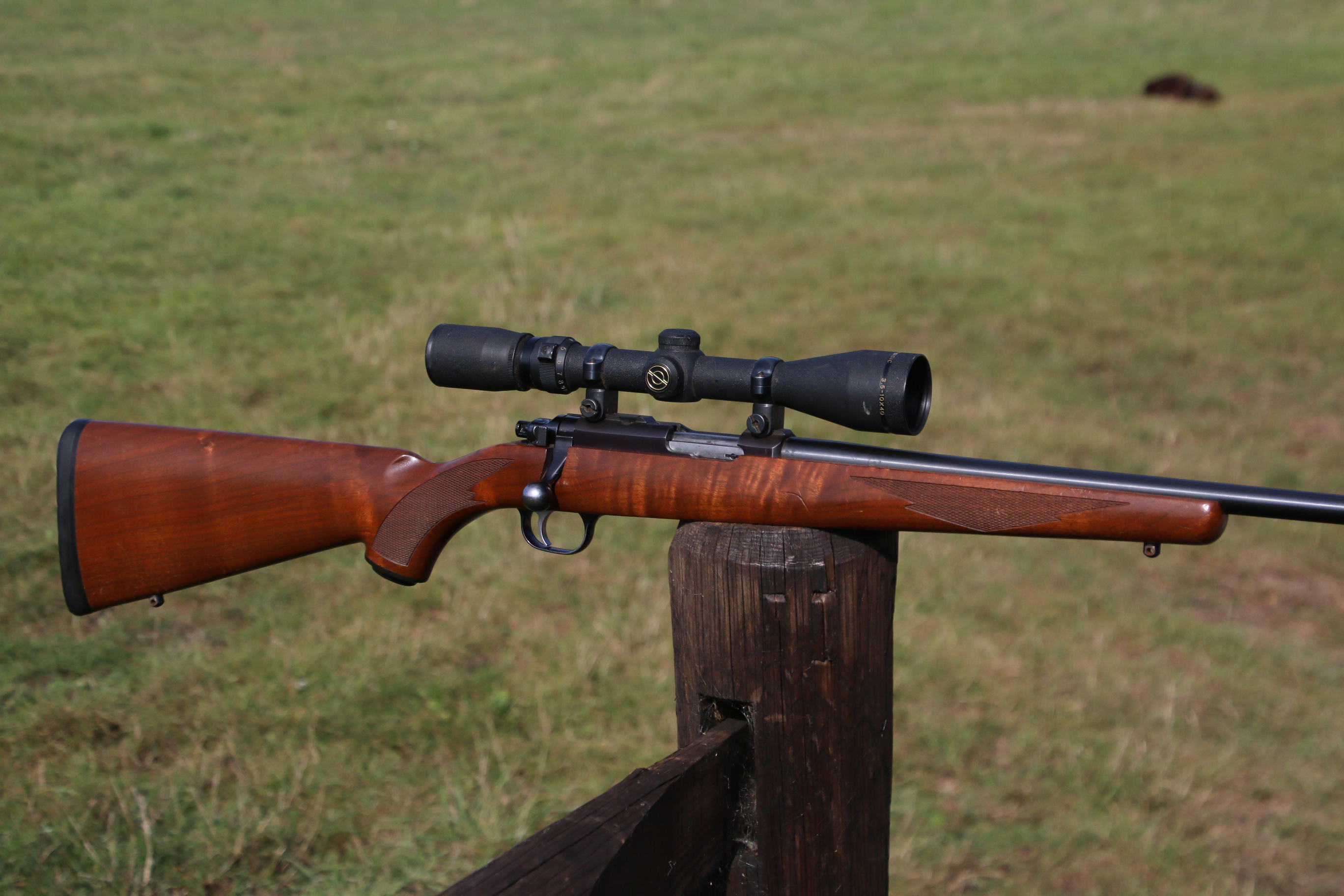 Ruger 77-22