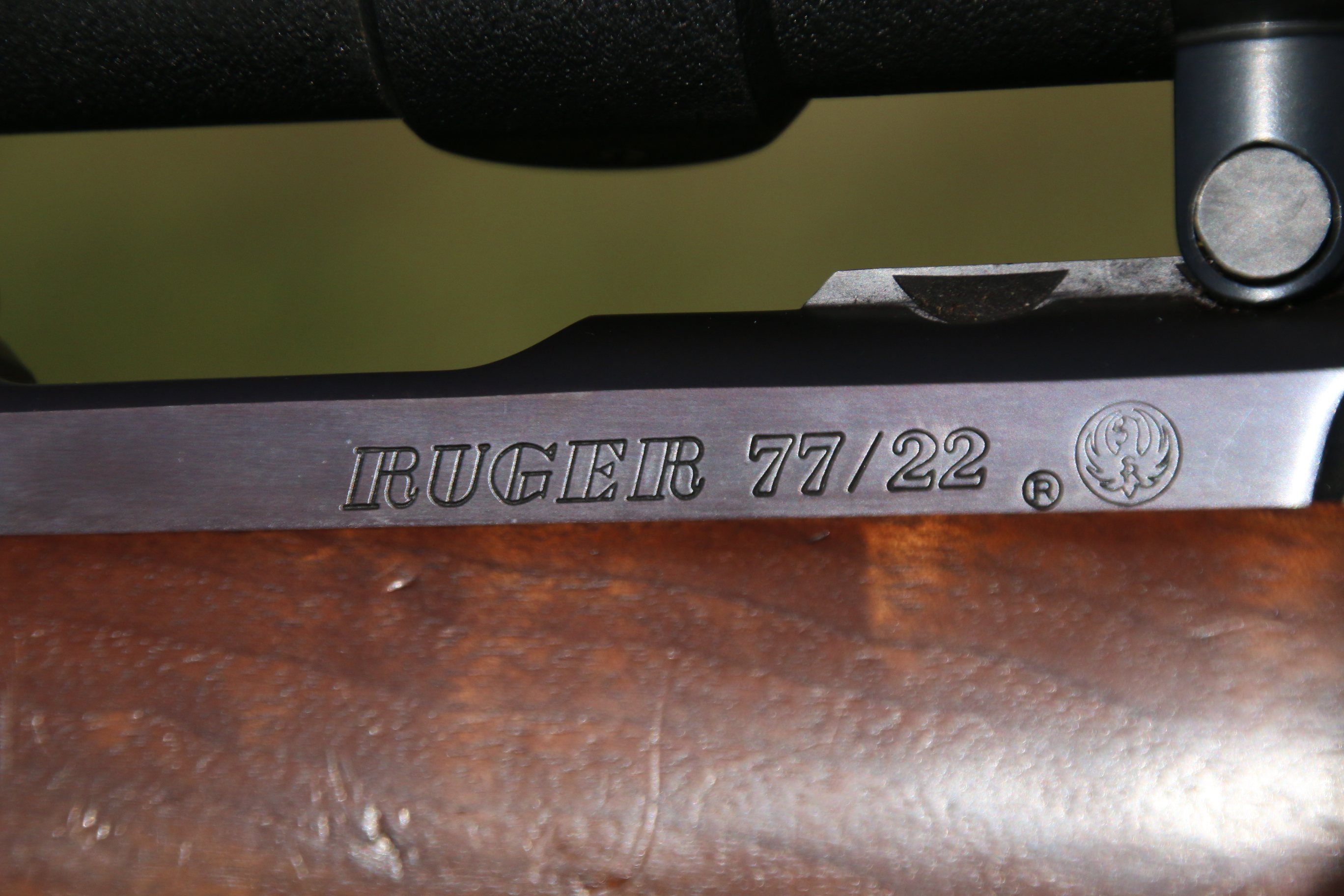 Ruger 77-22