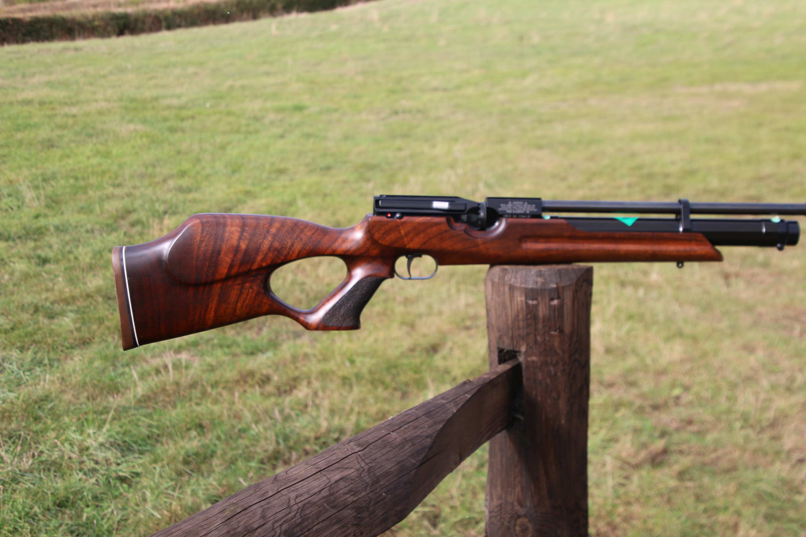 Weihrauch HW 100