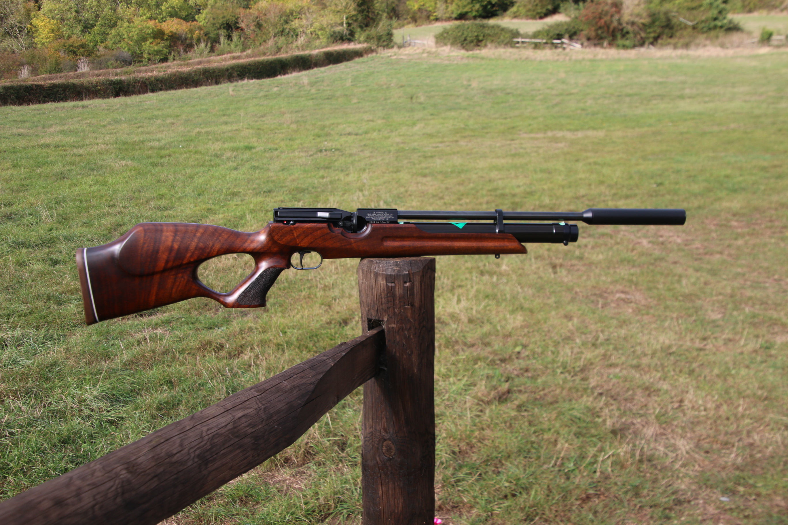 Weihrauch HW 100