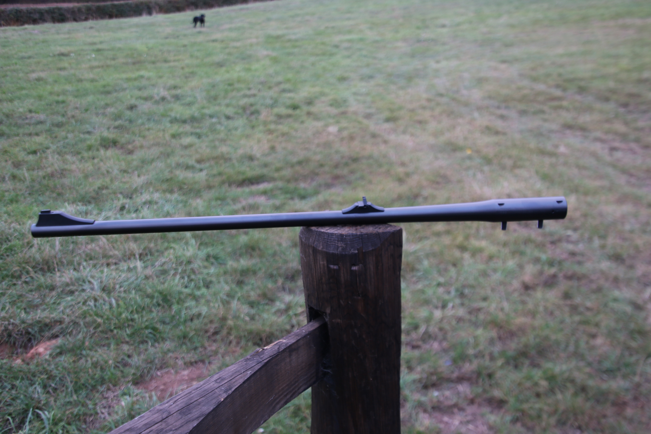 Blaser R93