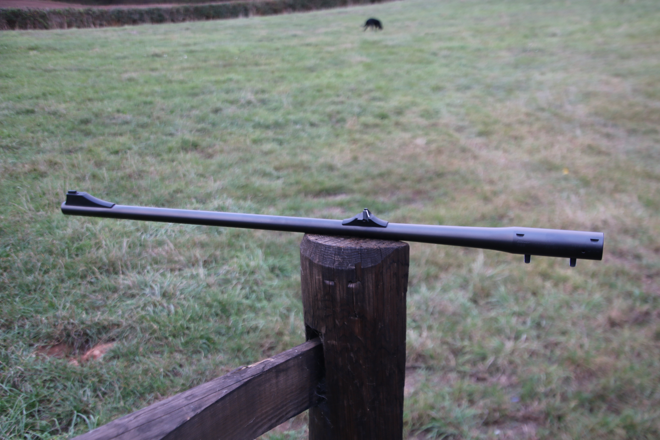 Blaser R93