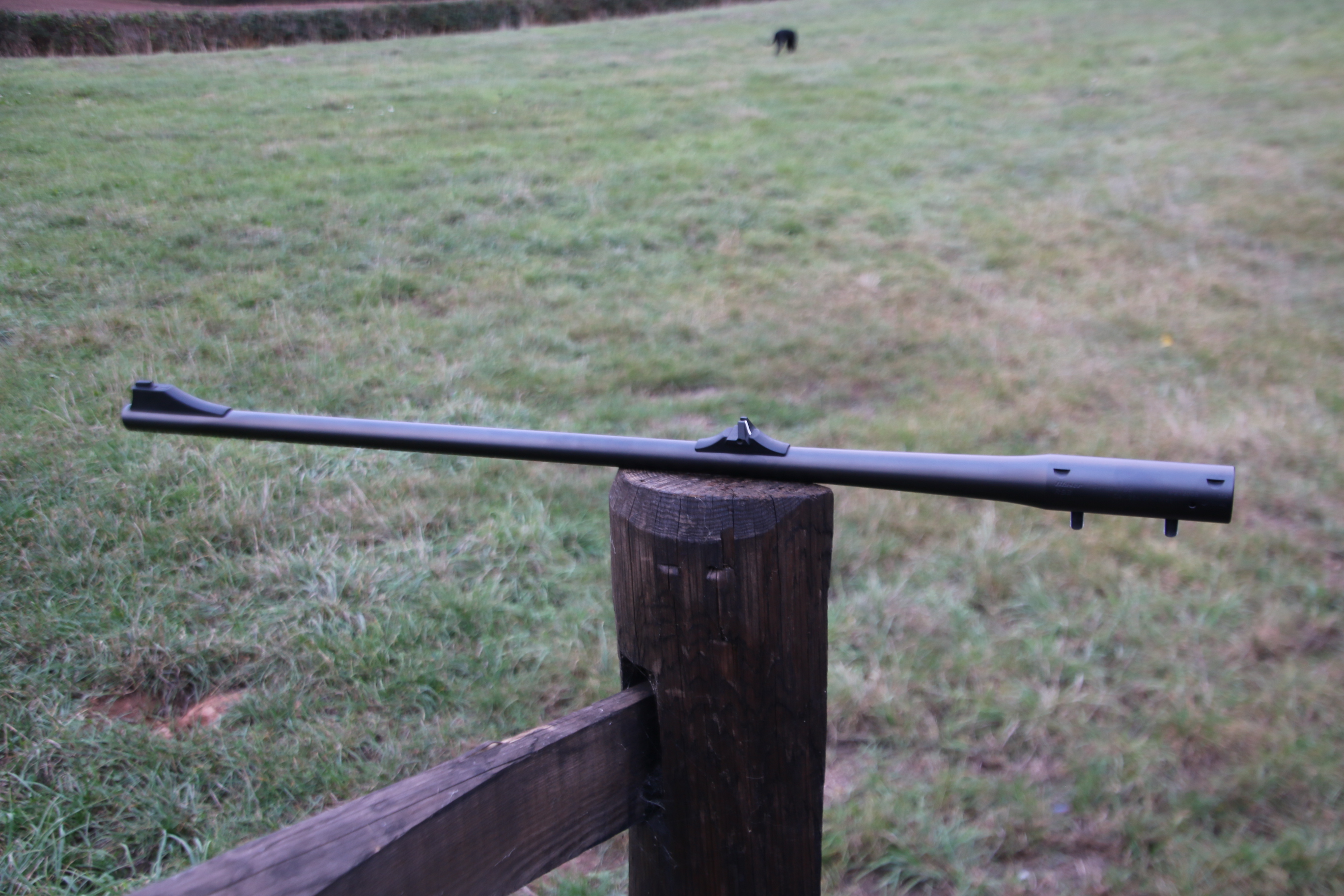 Blaser R93
