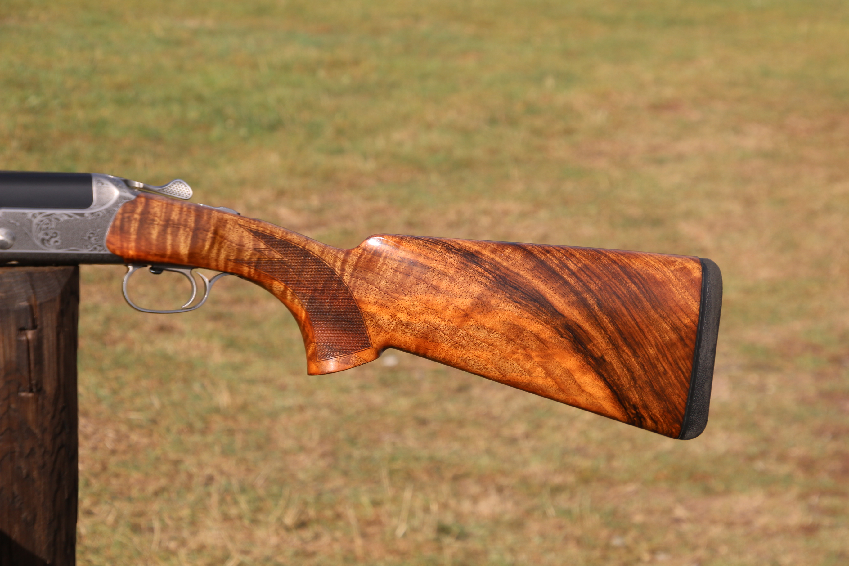 Blaser F16