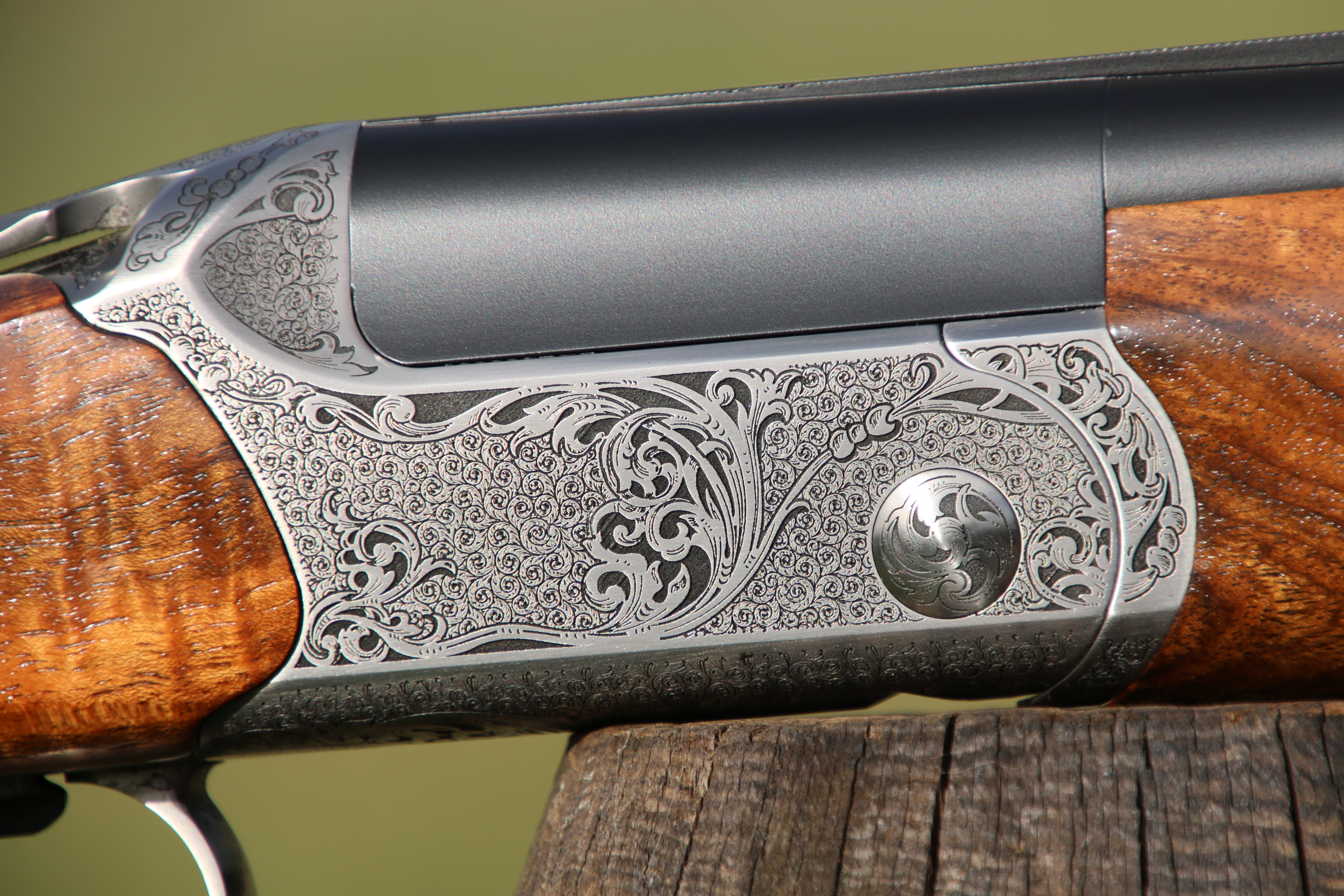 Blaser F16