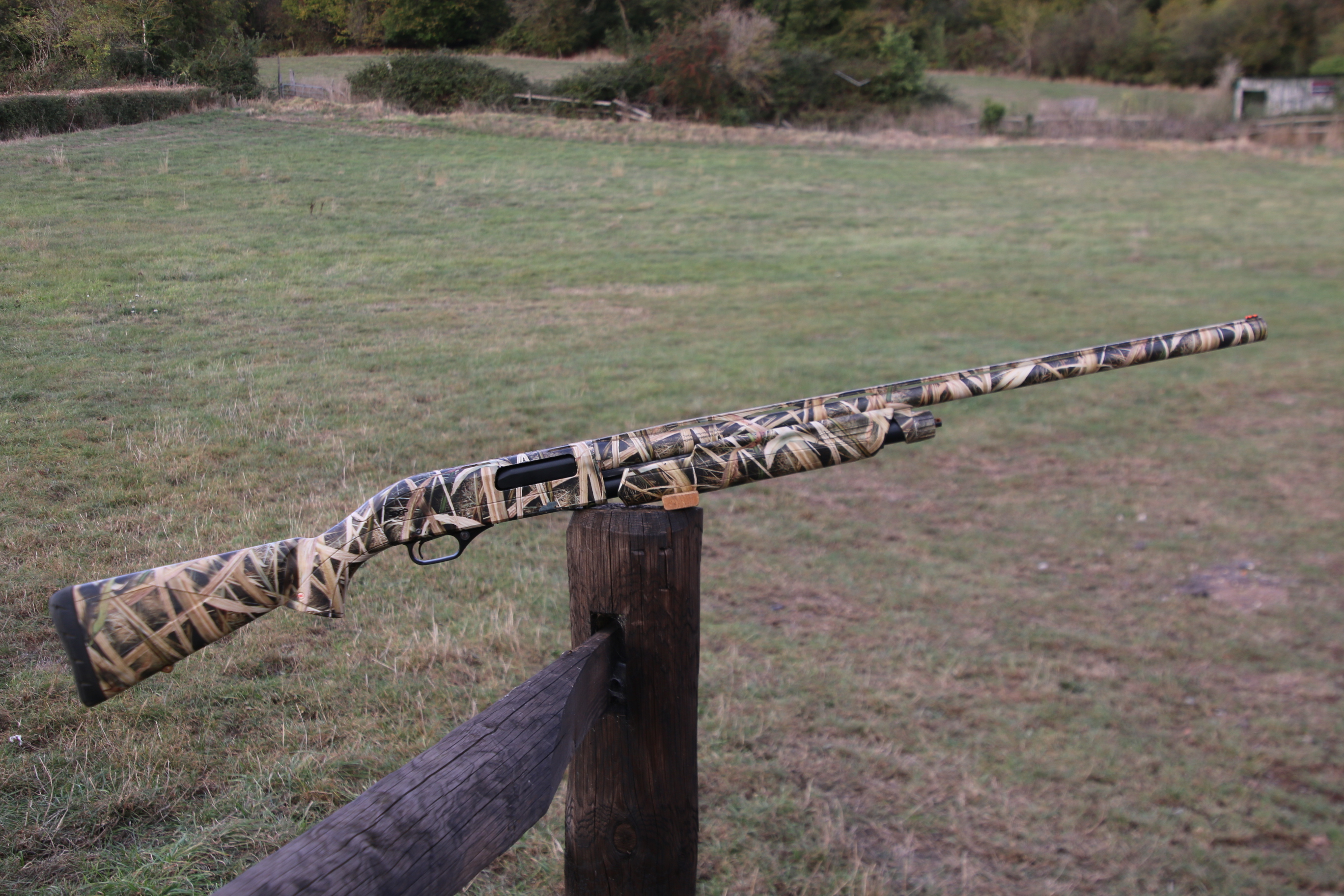 Winchester SXP