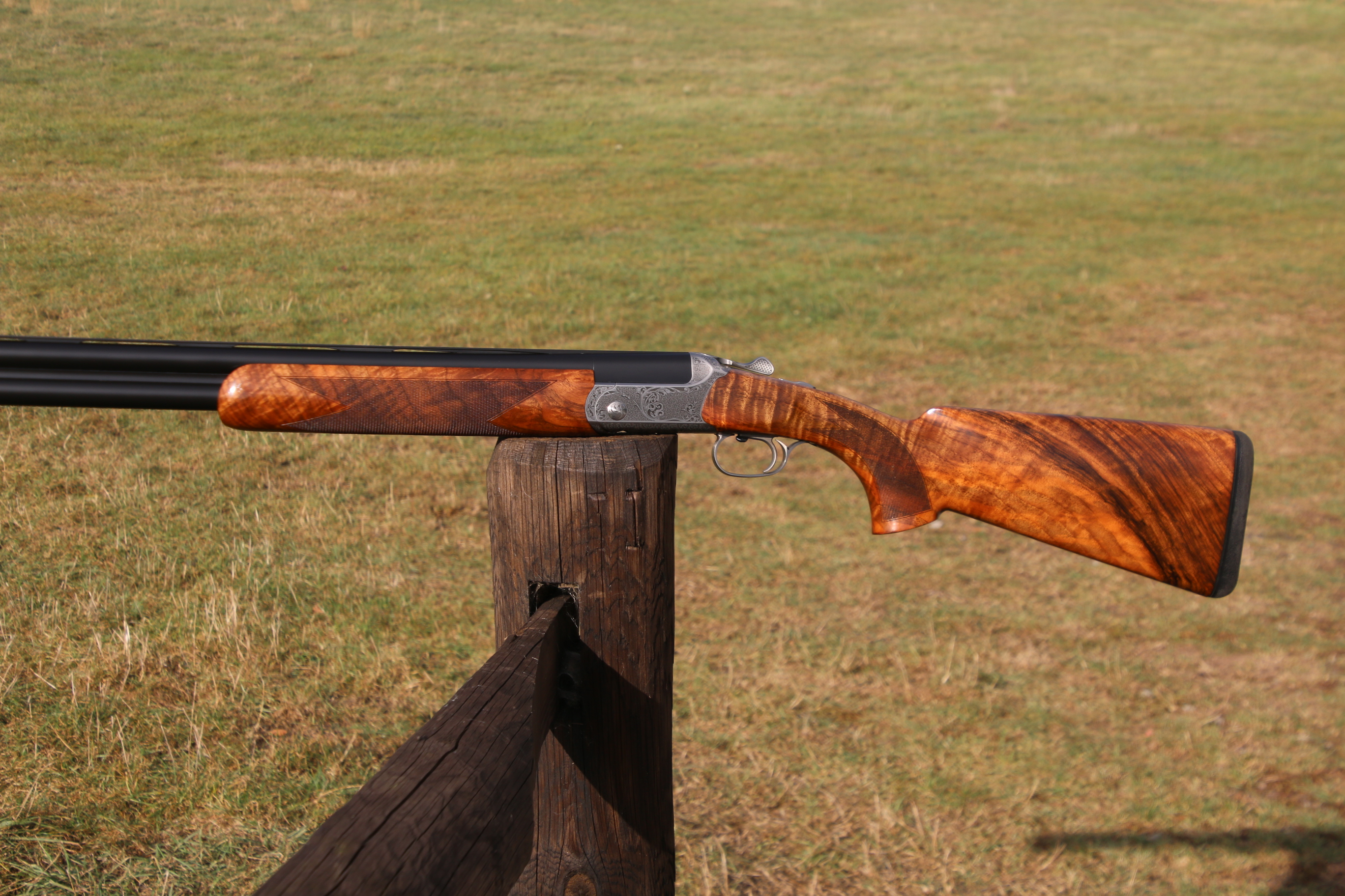 Blaser F16
