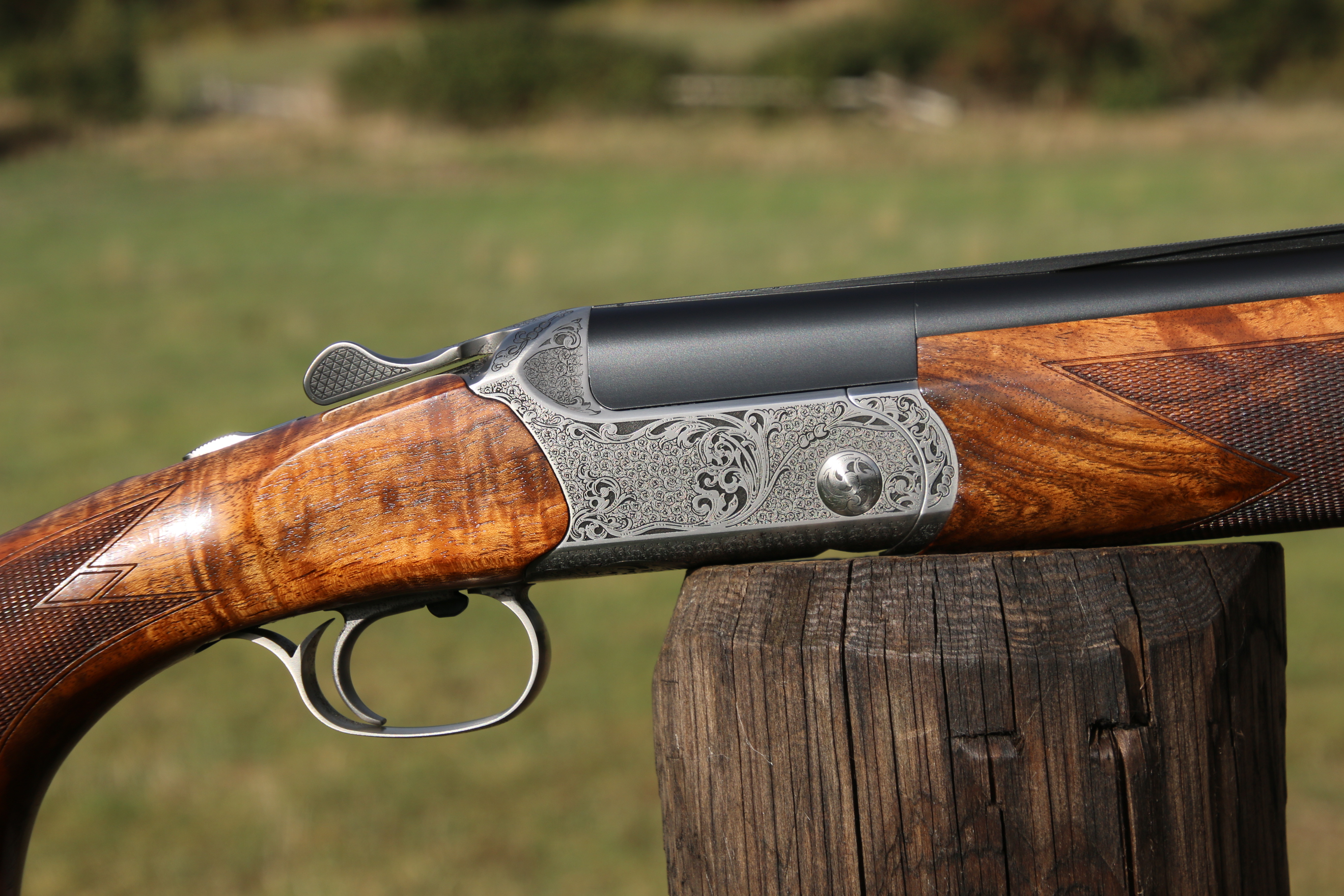 Blaser F16