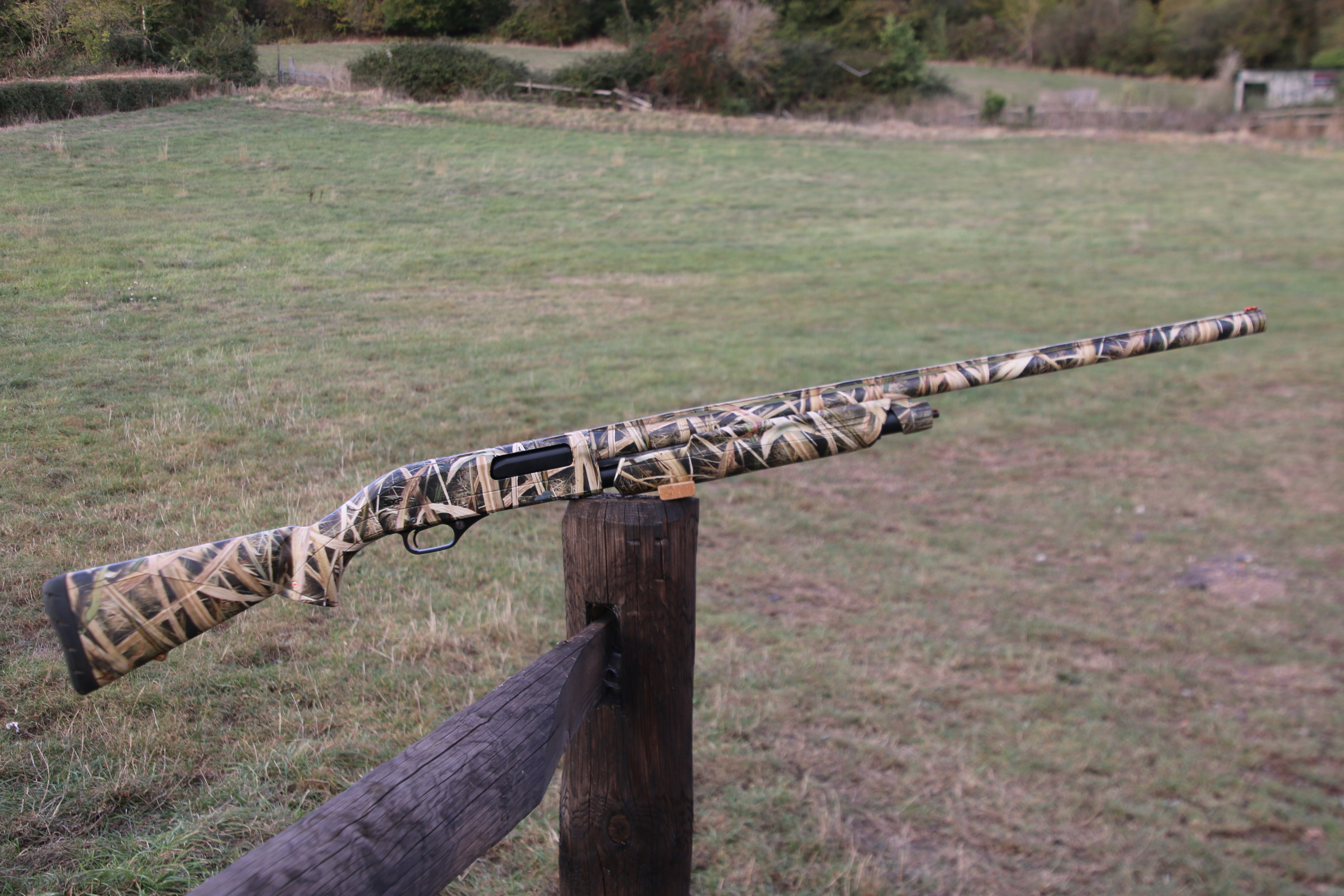 Winchester SXP