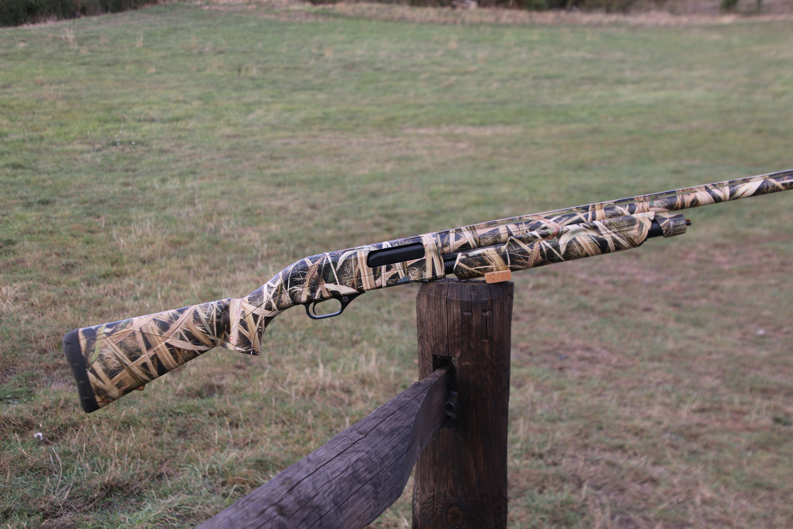 Winchester SXP