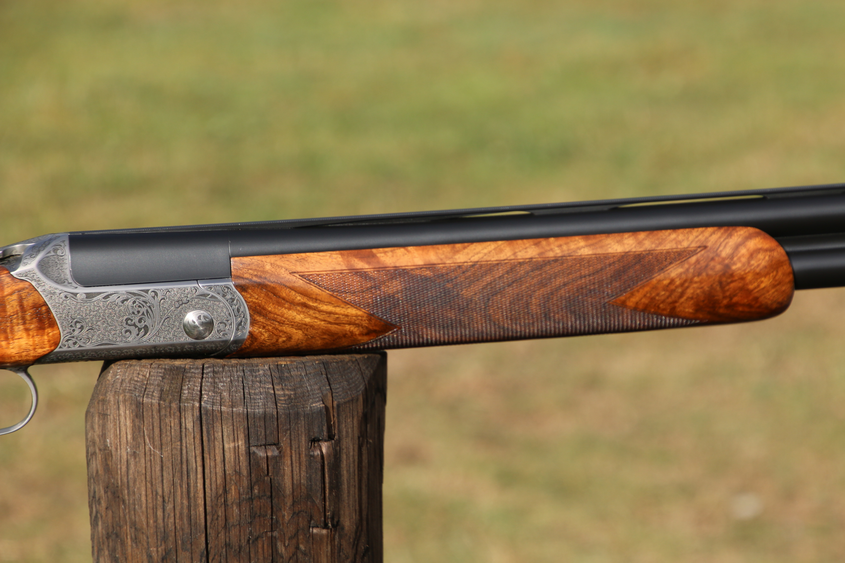 Blaser F16
