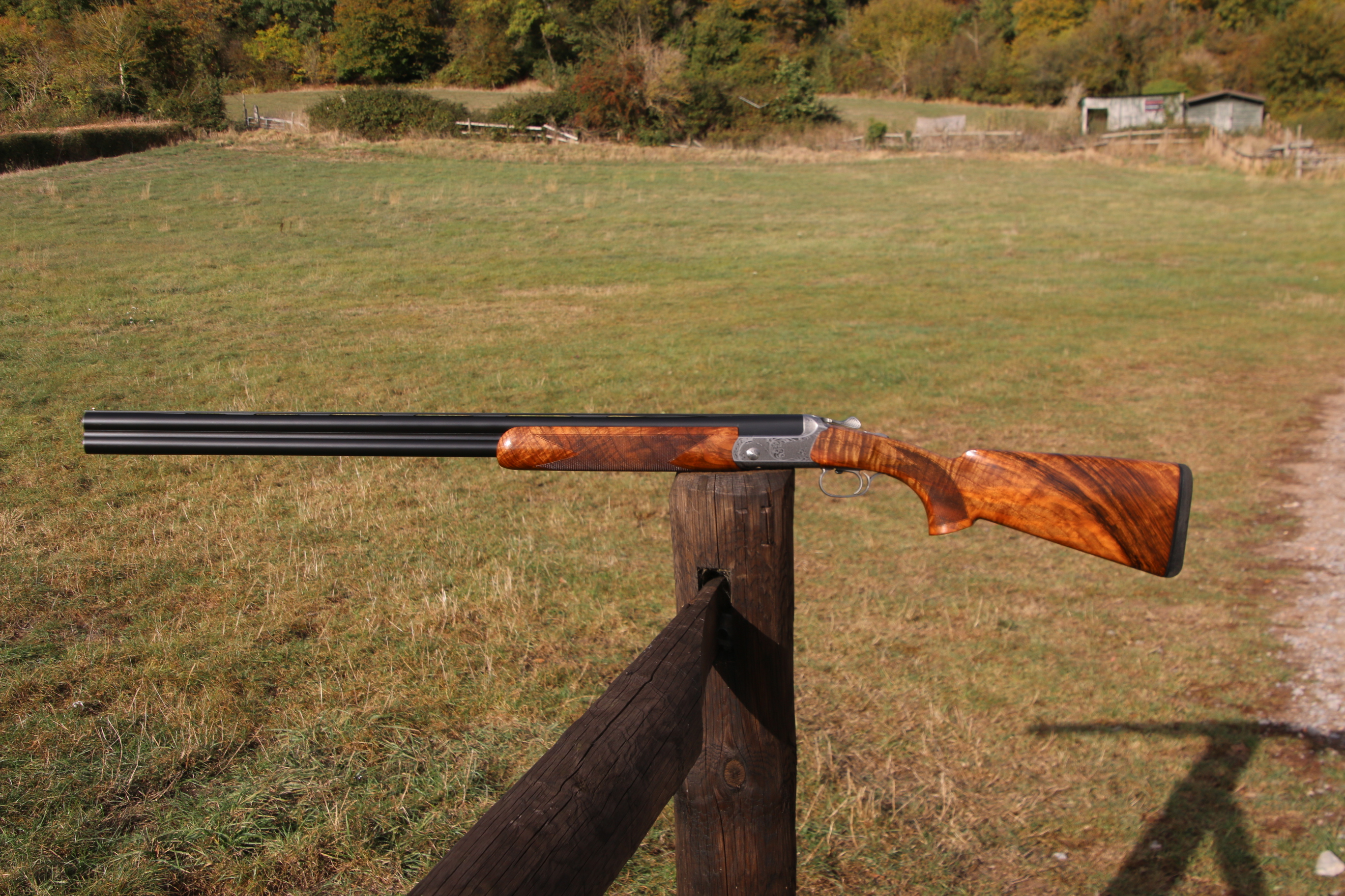 Blaser F16