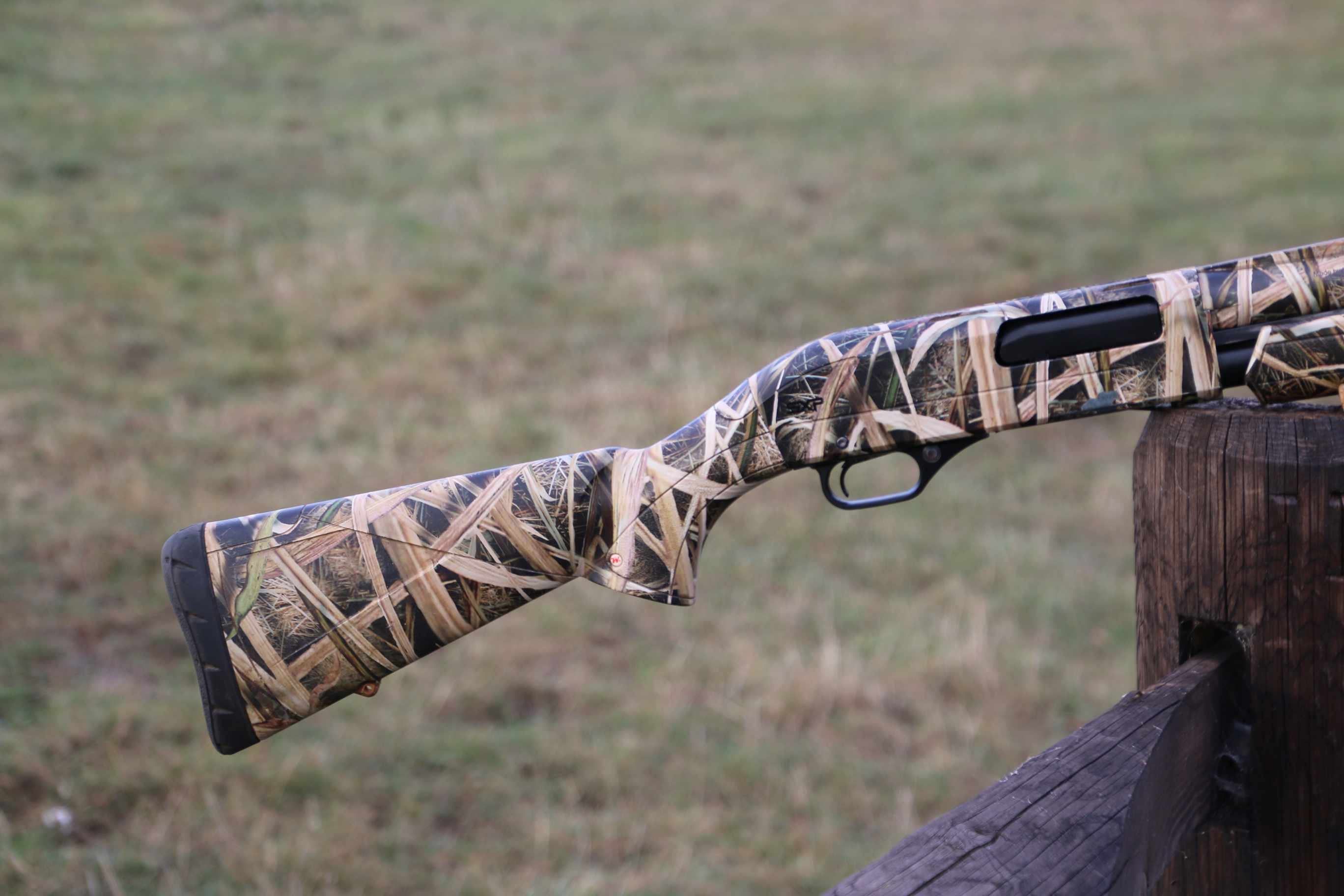 Winchester SXP