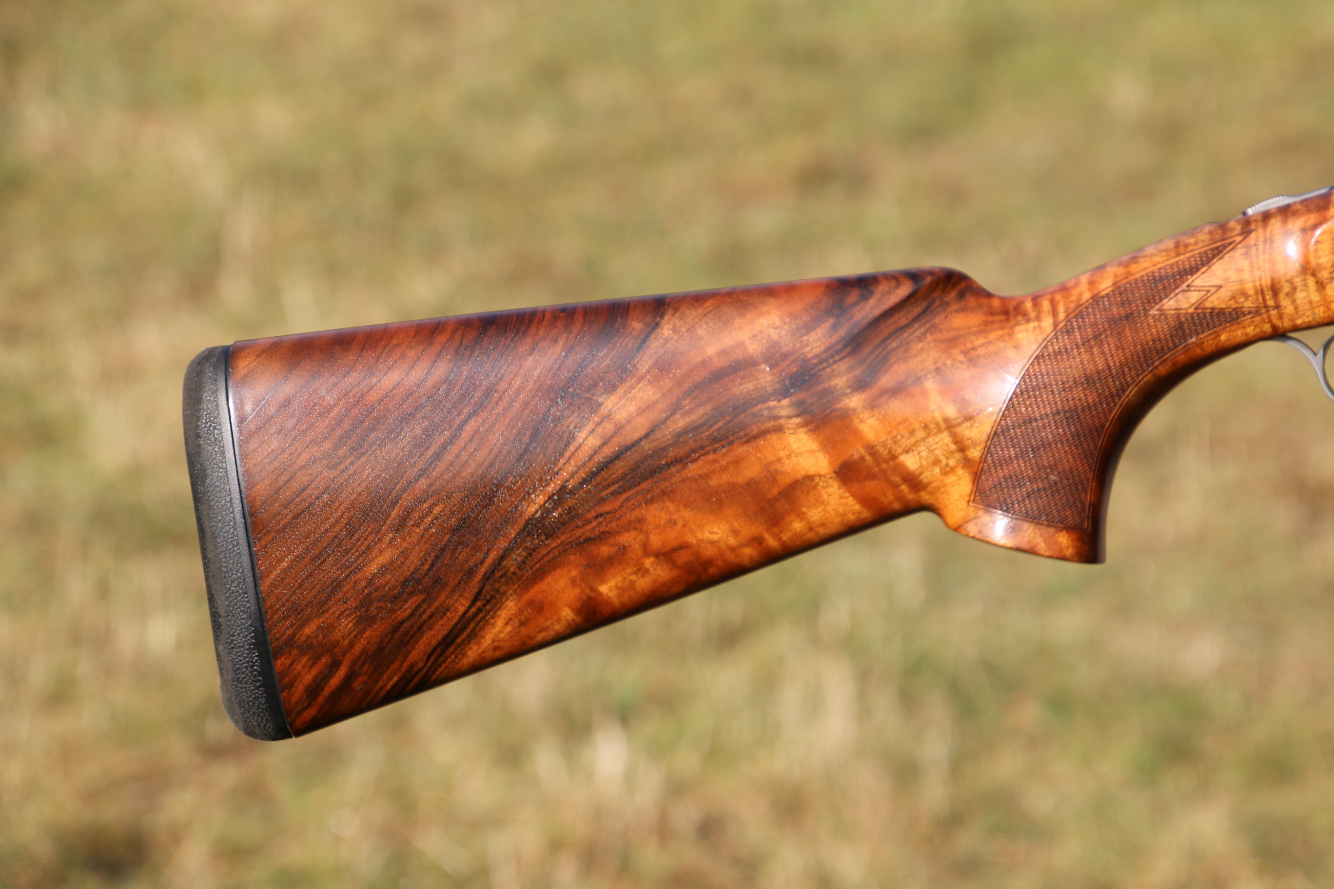 Blaser F16