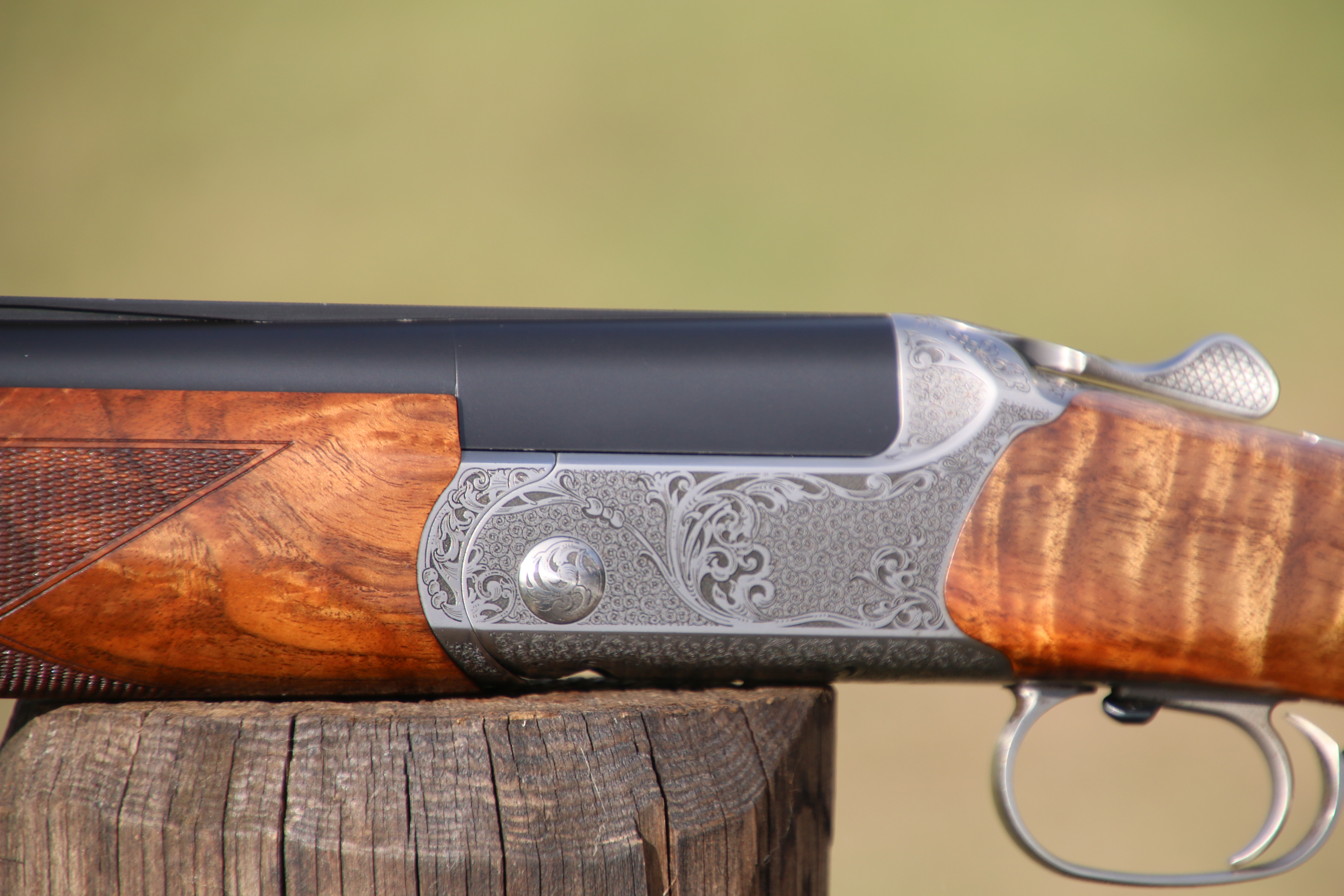 Blaser F16