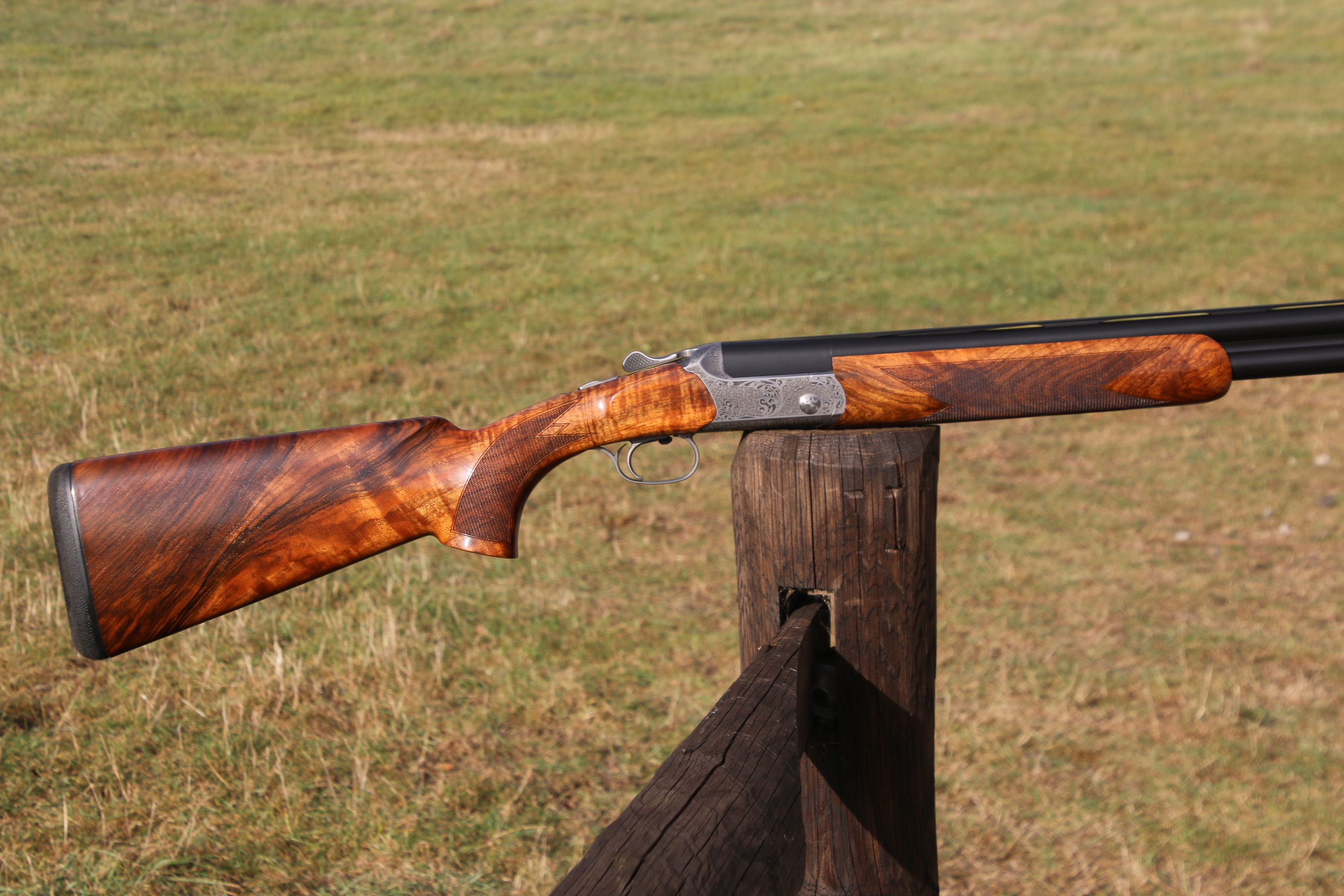 Blaser F16