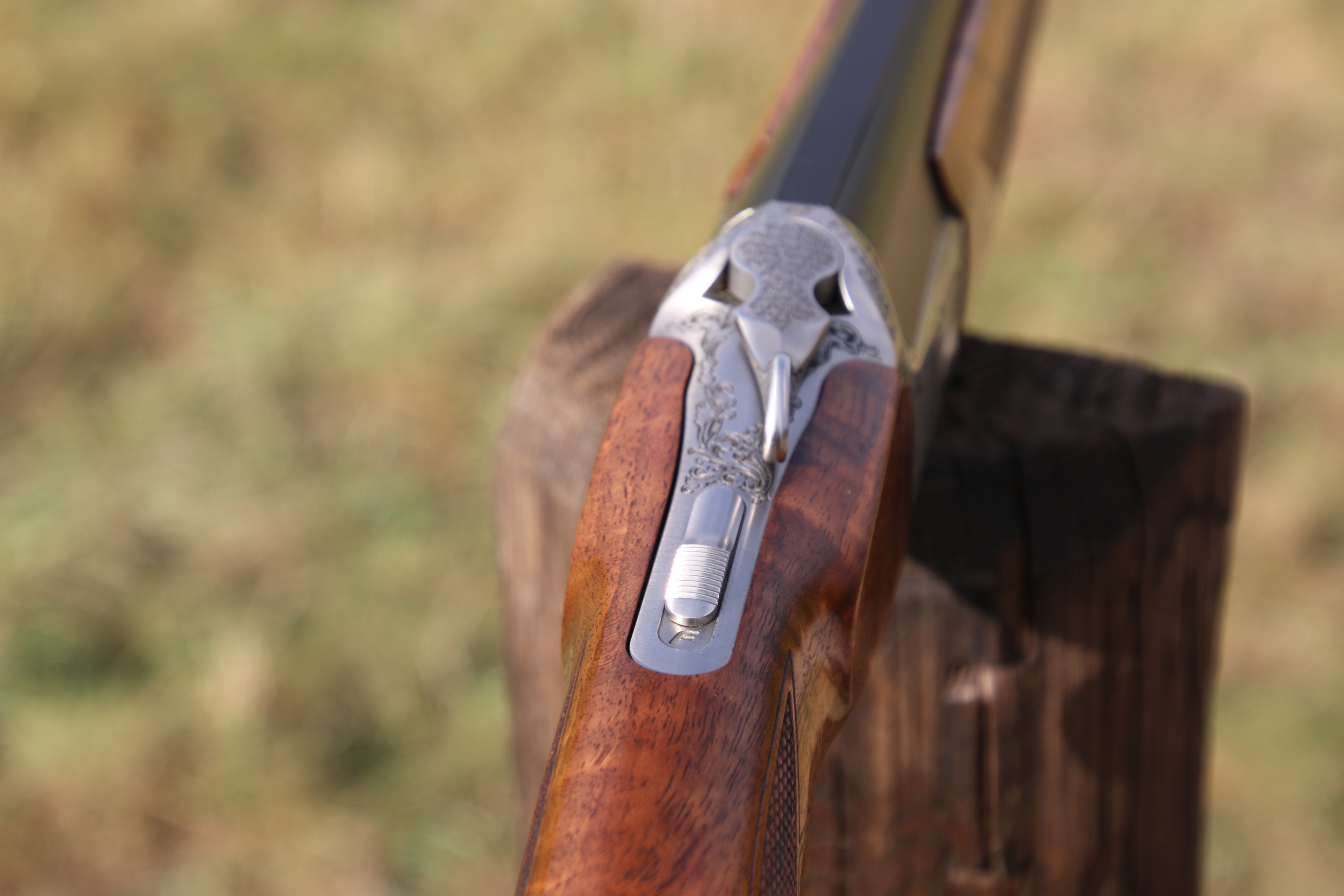 Blaser F16