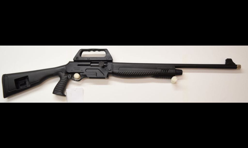 Hatsan Arms Escort